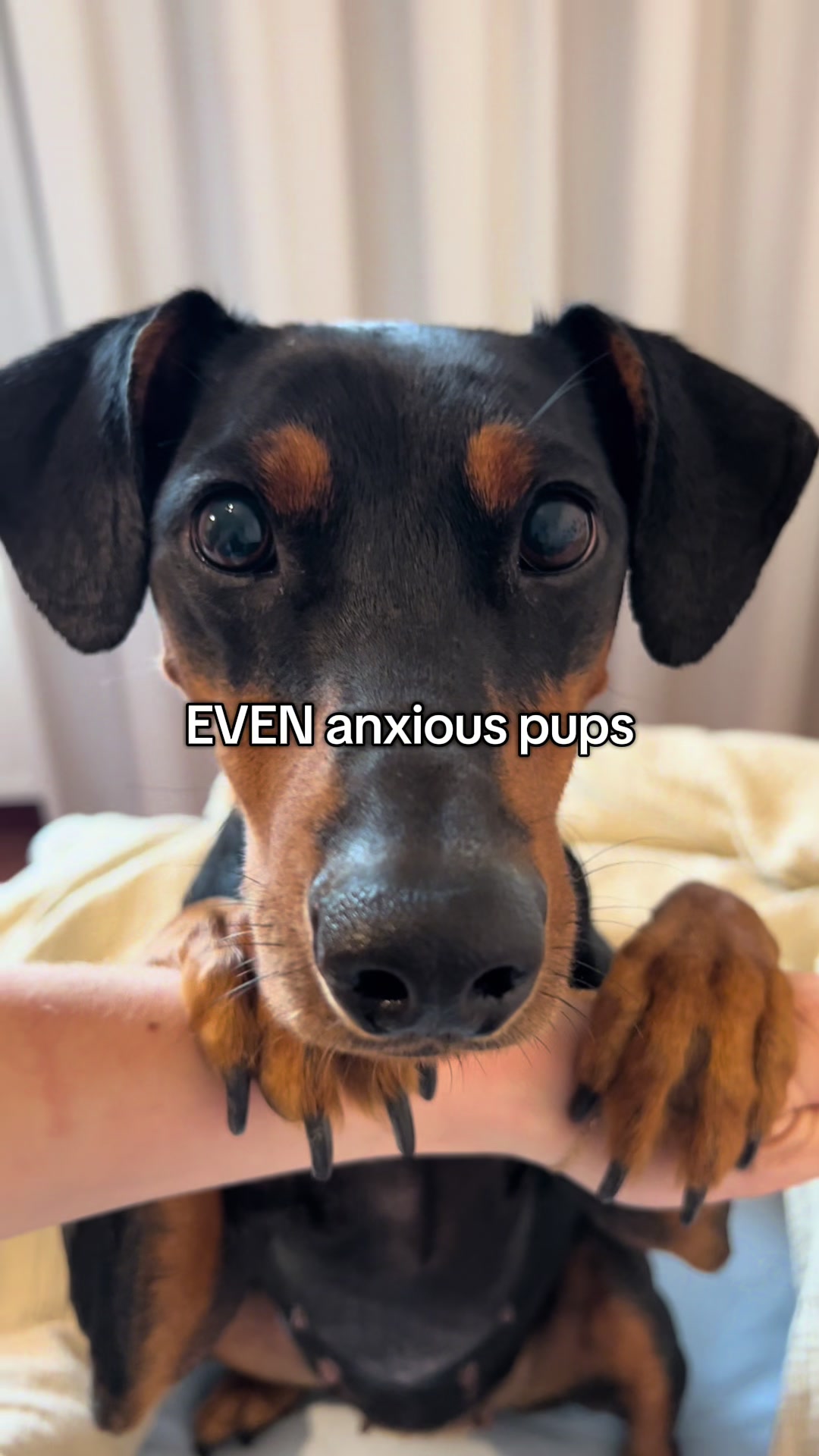 @AlvaTheHotDog