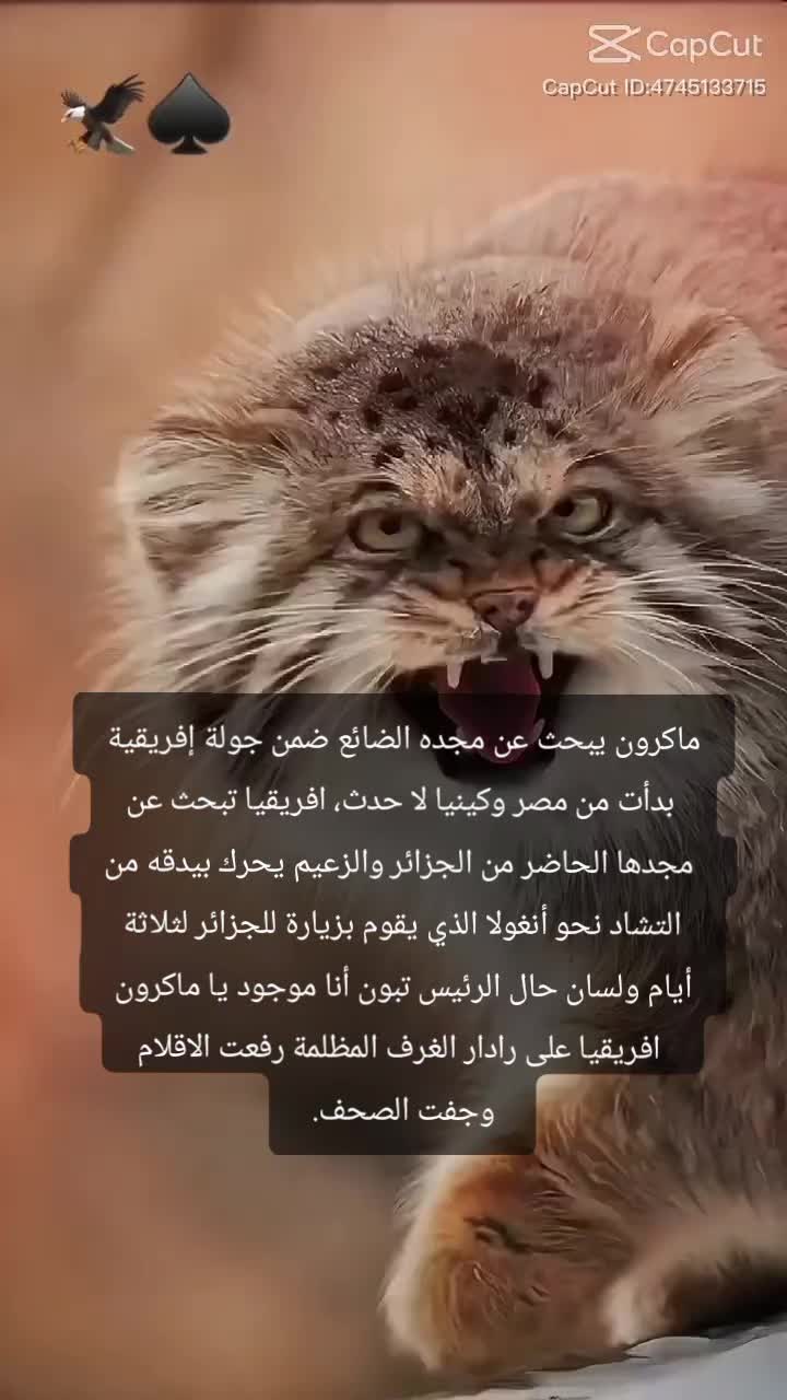@المهندس