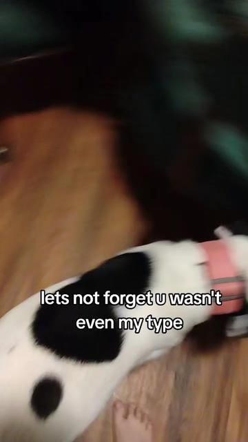 @Ariana Wolfe