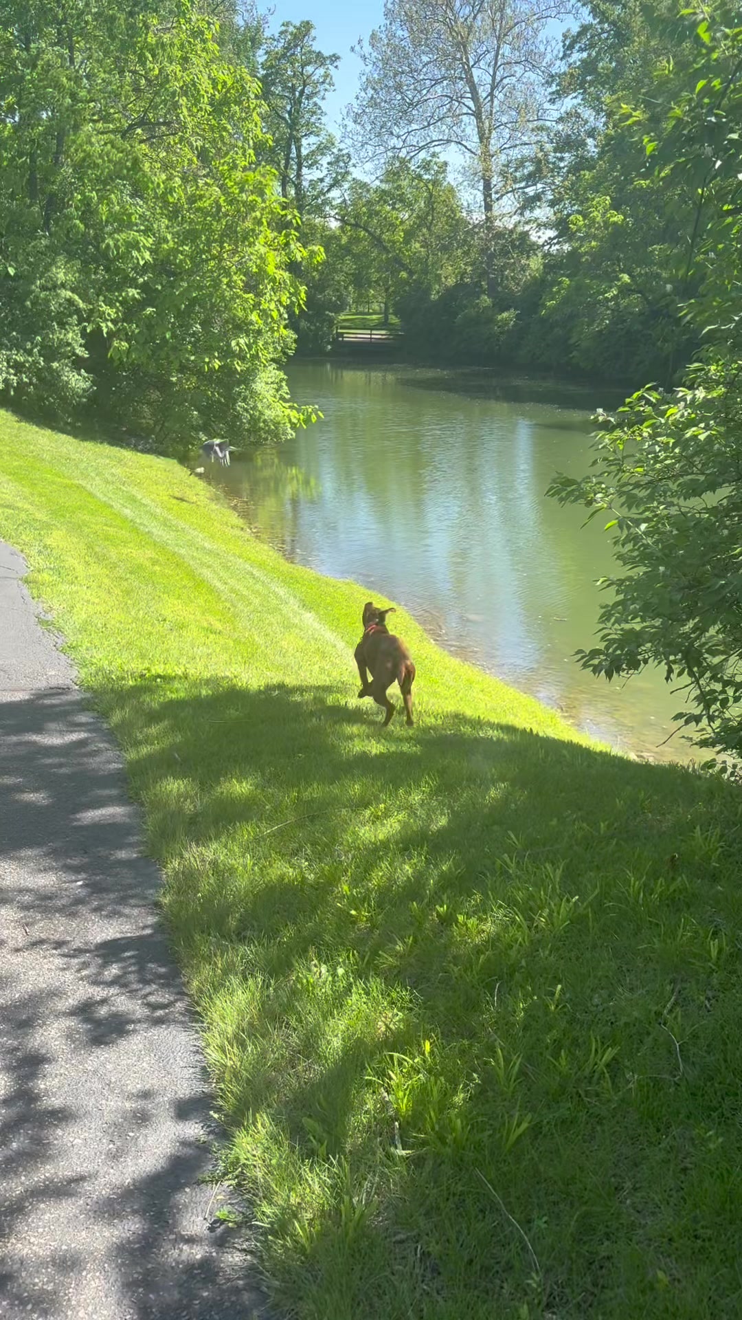 @Wiggle butt