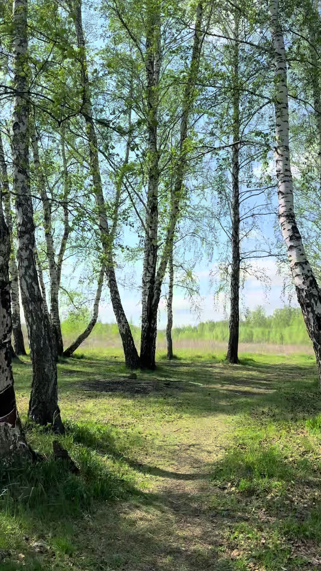 @НЕ_дашутка💸