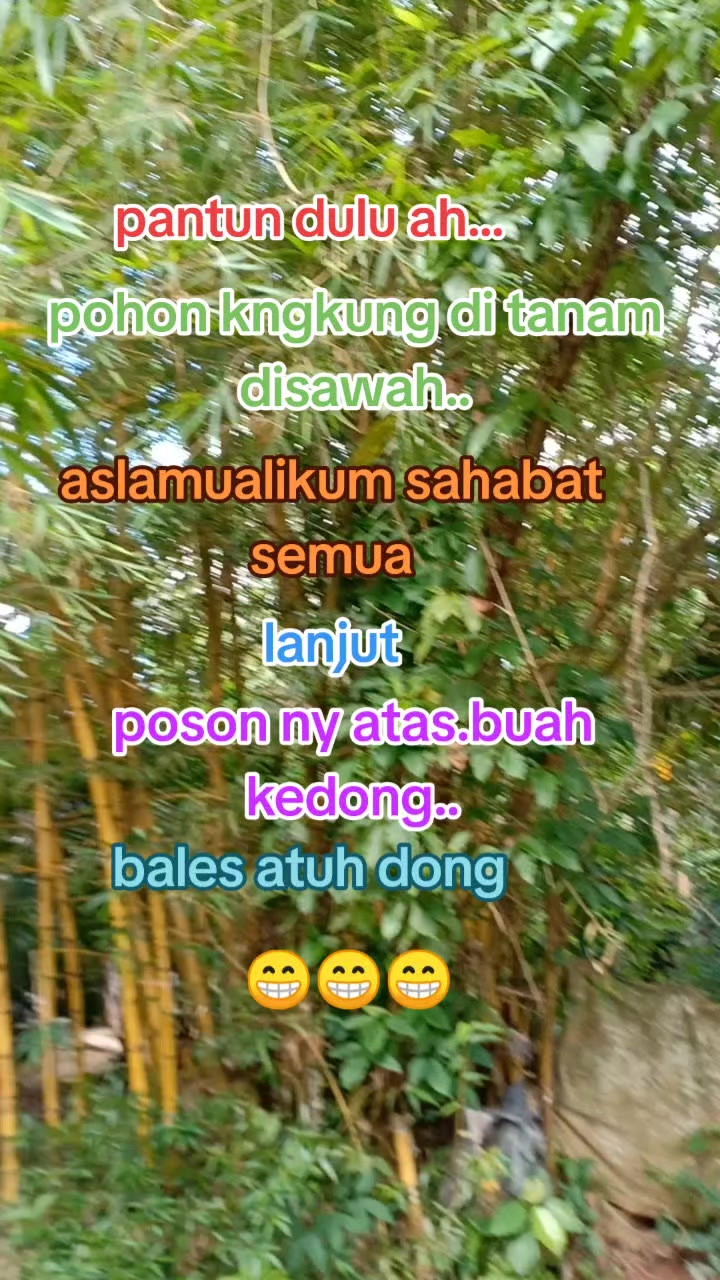 @Kripik Sweat Imin Singkong