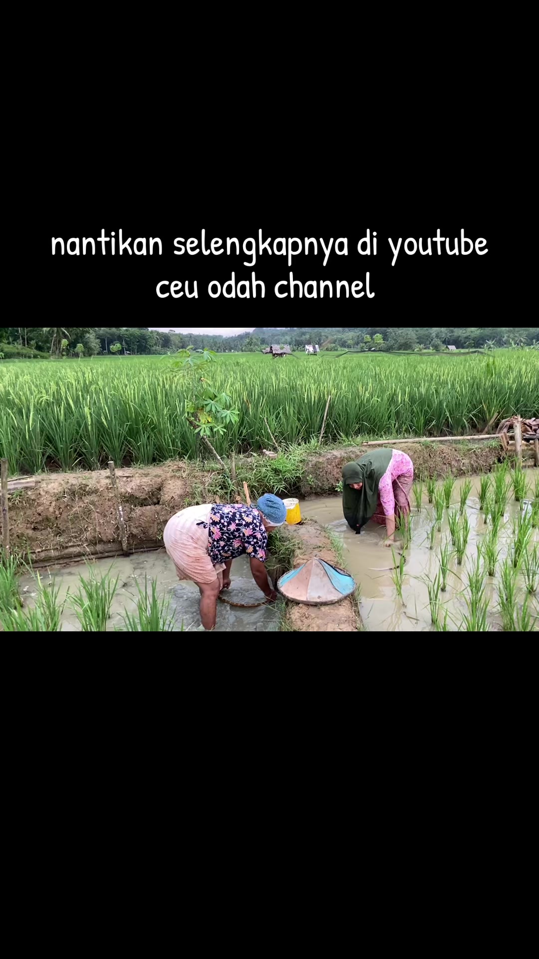 @ceuodah87