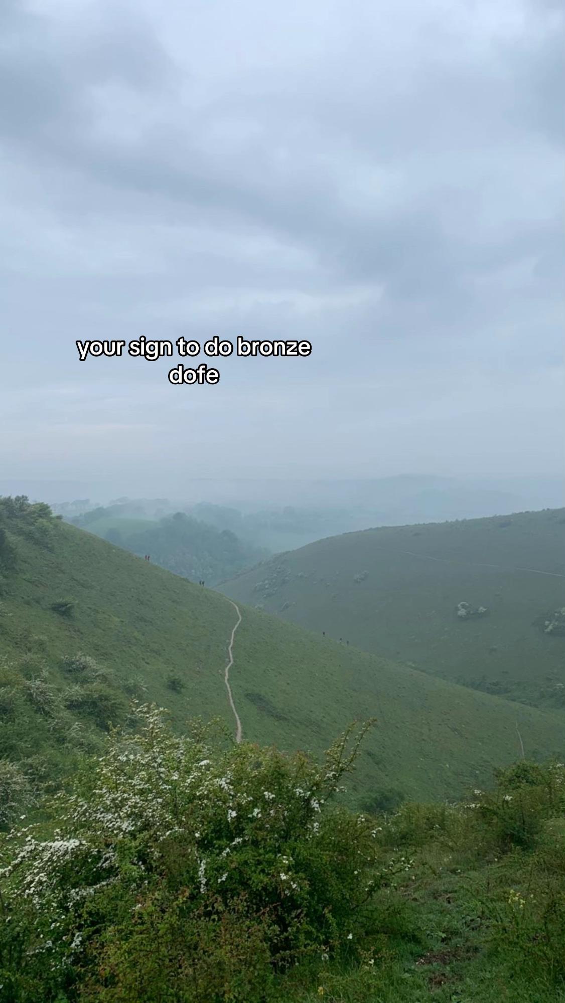@Isla 🦚