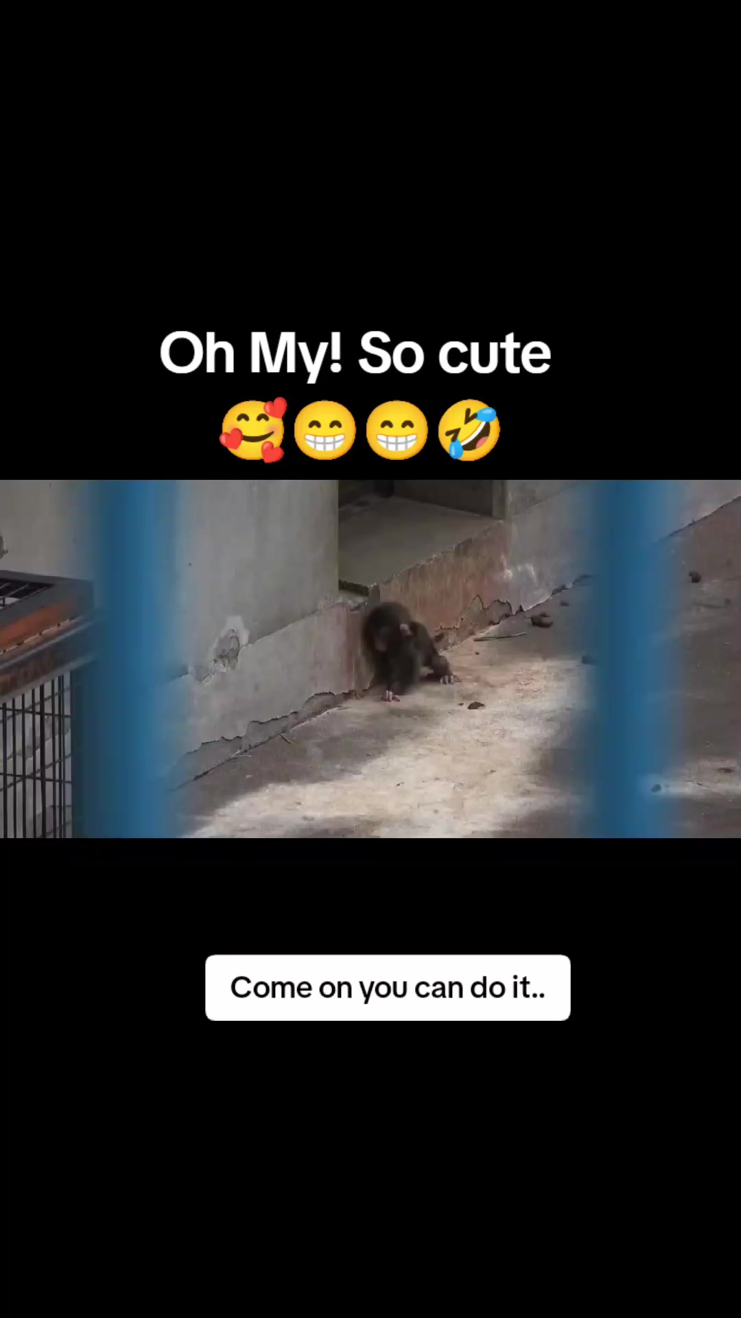 @Mochi/Rusty