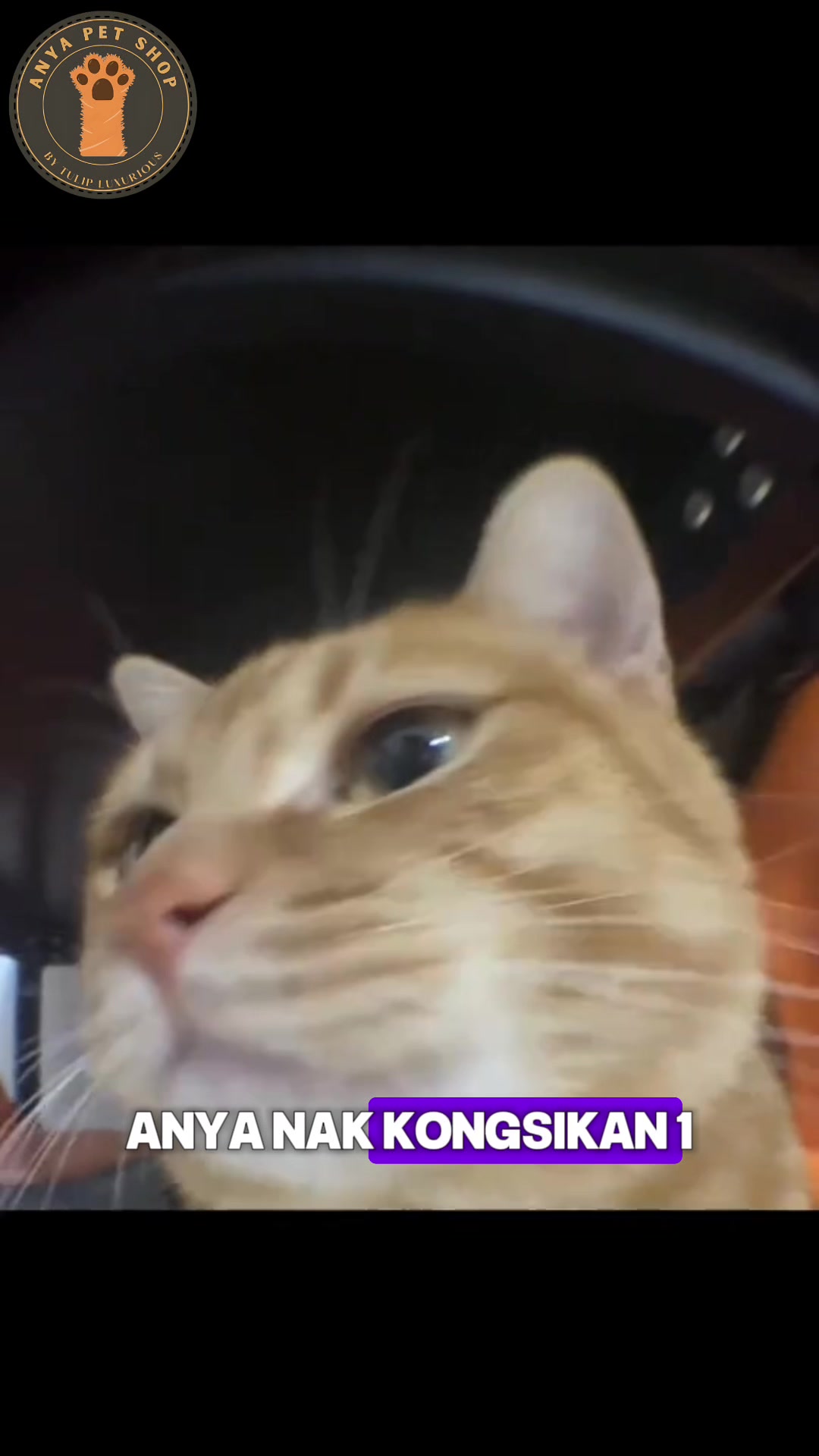 @Anya Pet Shop