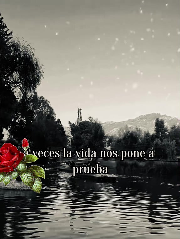 @Cheli