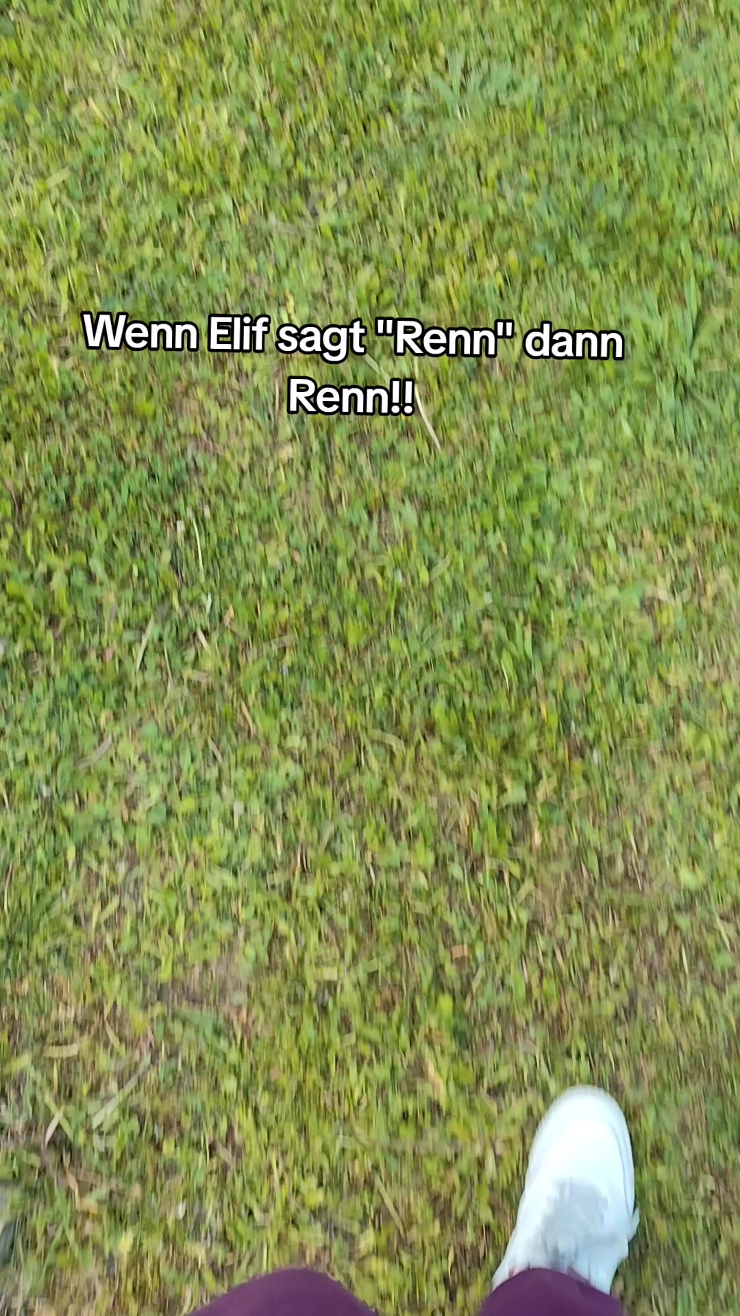 @𝐋𝐢𝐥𝐥𝐲ྀི (𝐅𝐚𝐧𝐏𝐚𝐠𝐞)