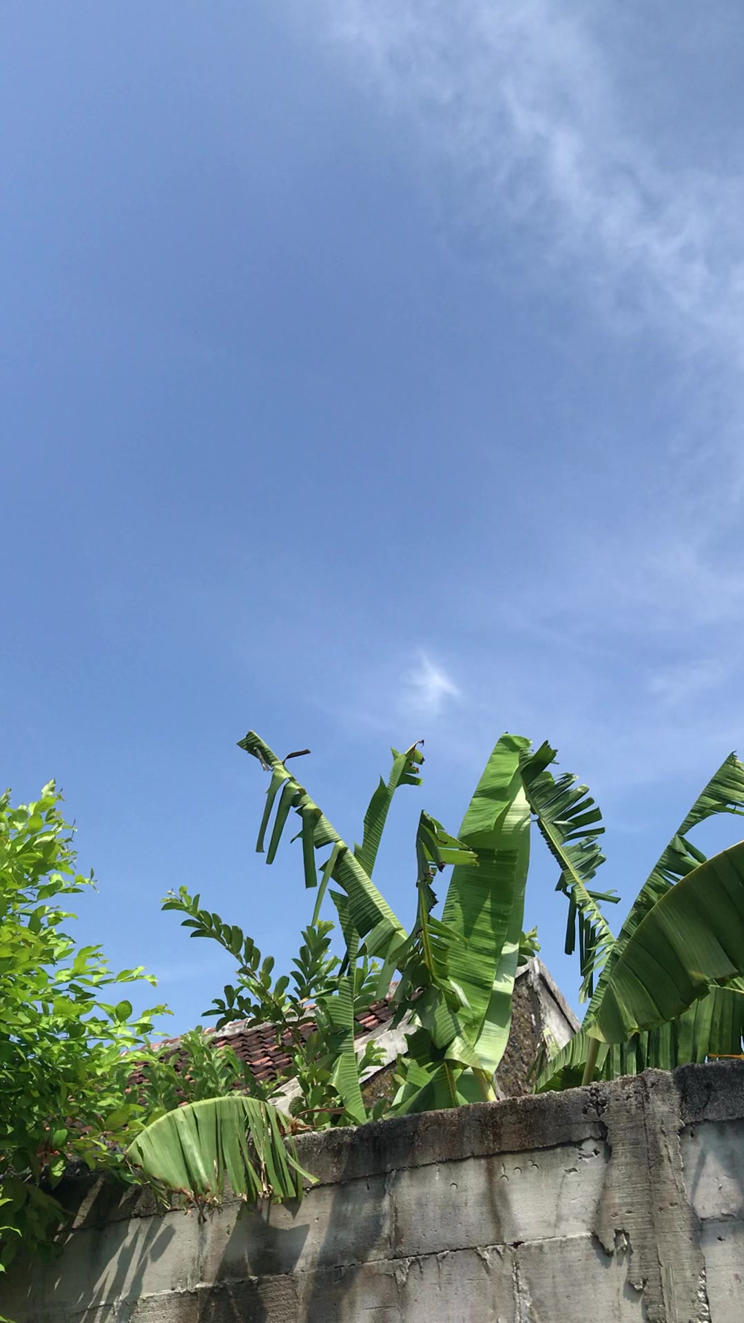 @rzzk_15