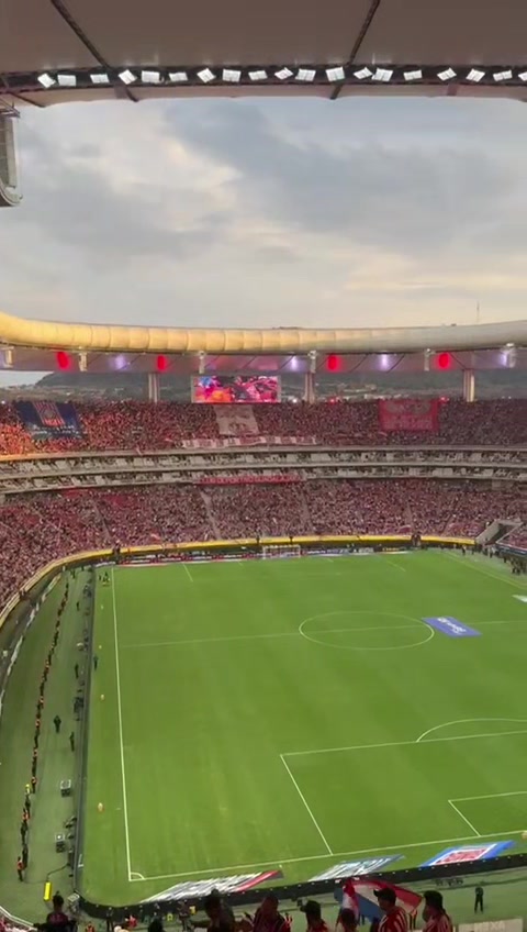 @CacomixtleT