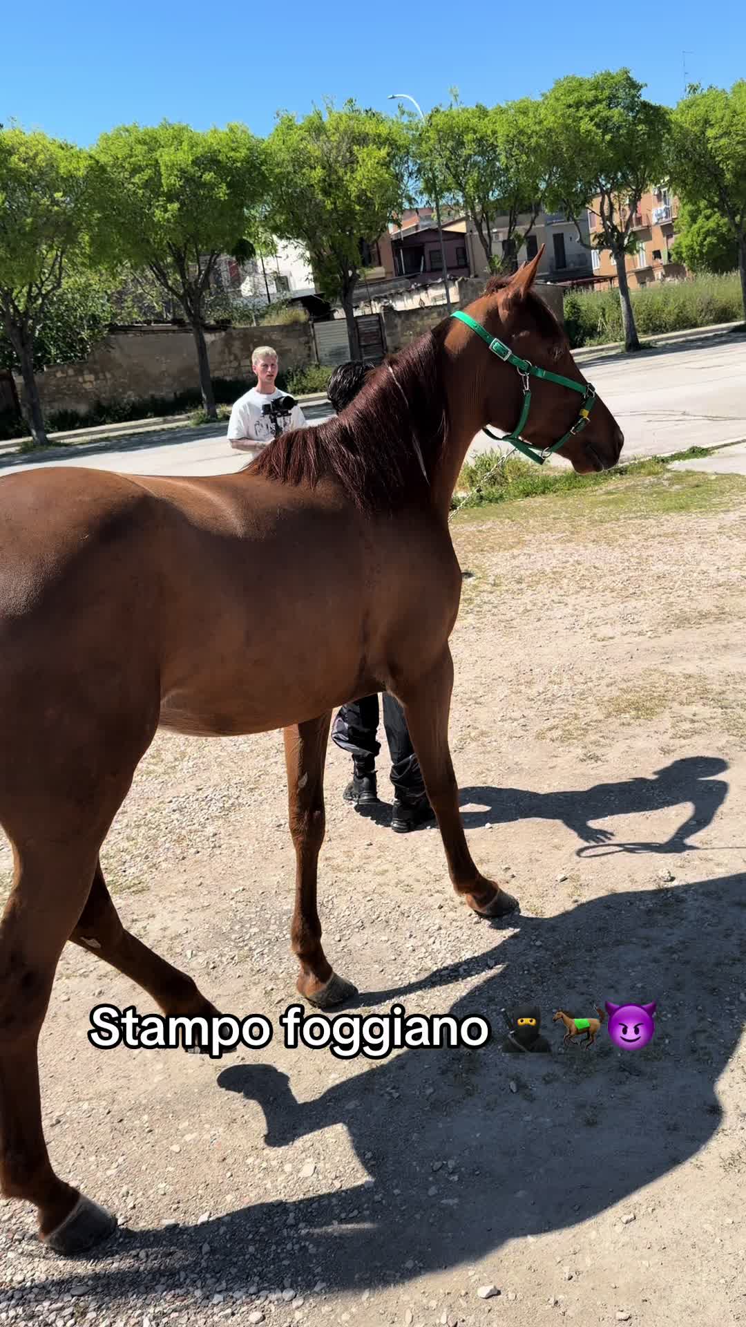 @PATOSENO