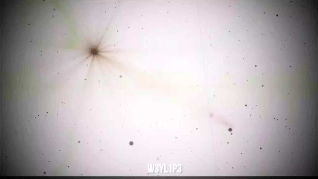 @WakveriW