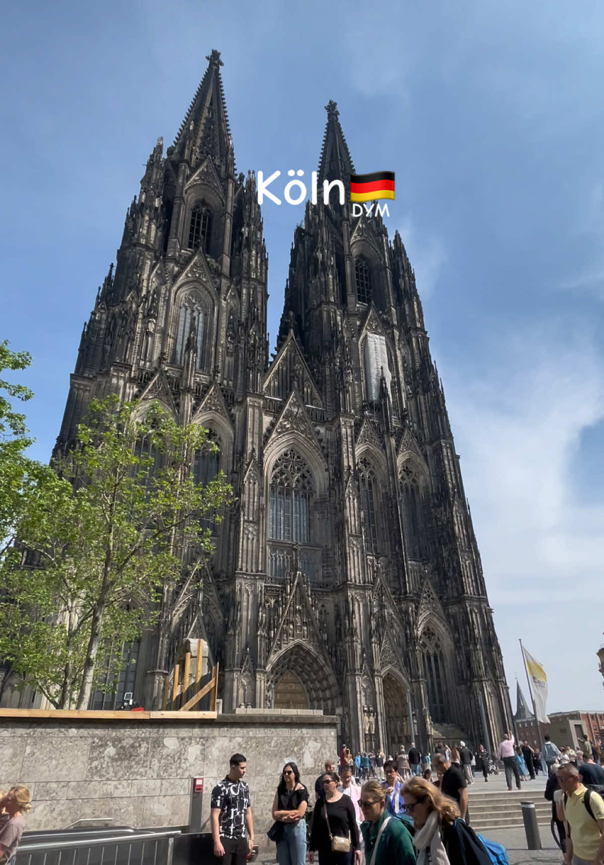 @DYMⵣ🇩🇪
