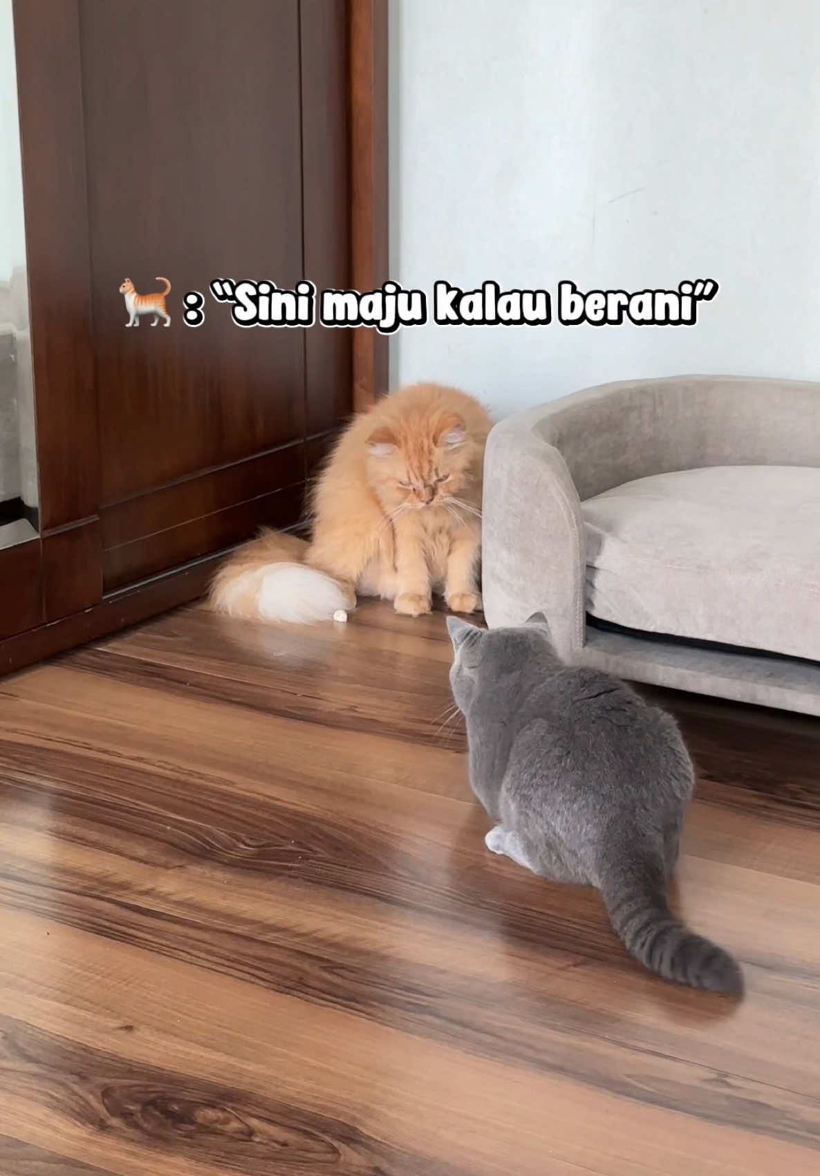 @Panggil aja JEDUT 🐈&zwj;⬛