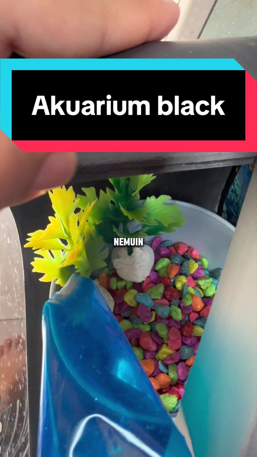 @Aquarium_group