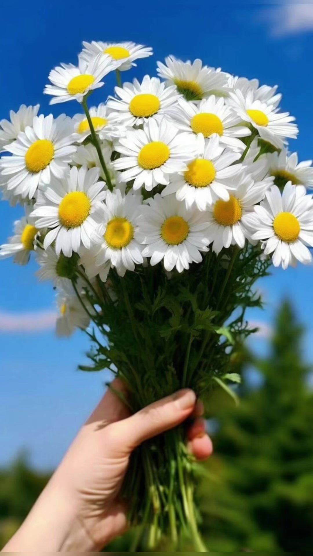 @Юлия