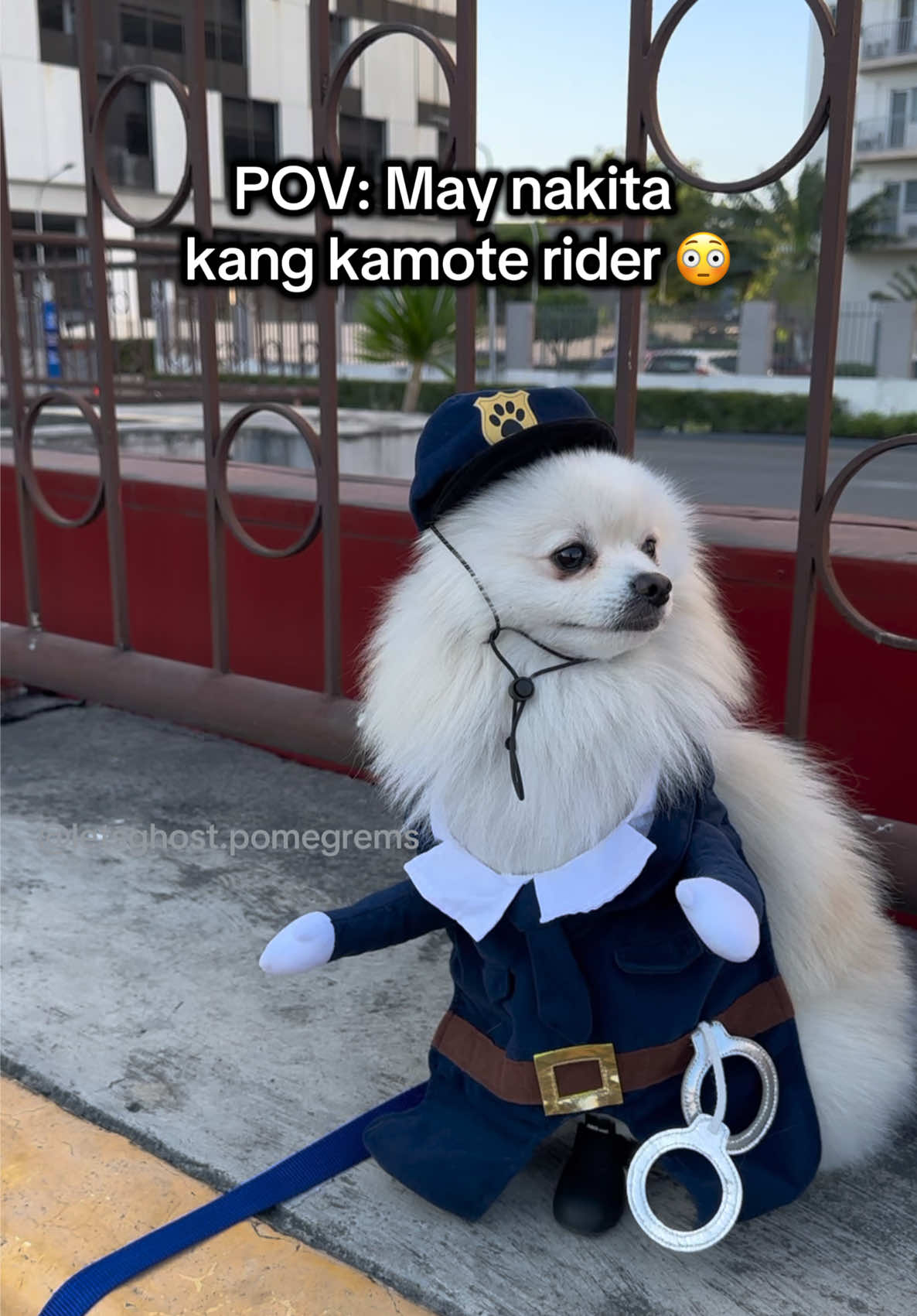 @G H O S T TheRunnerPom