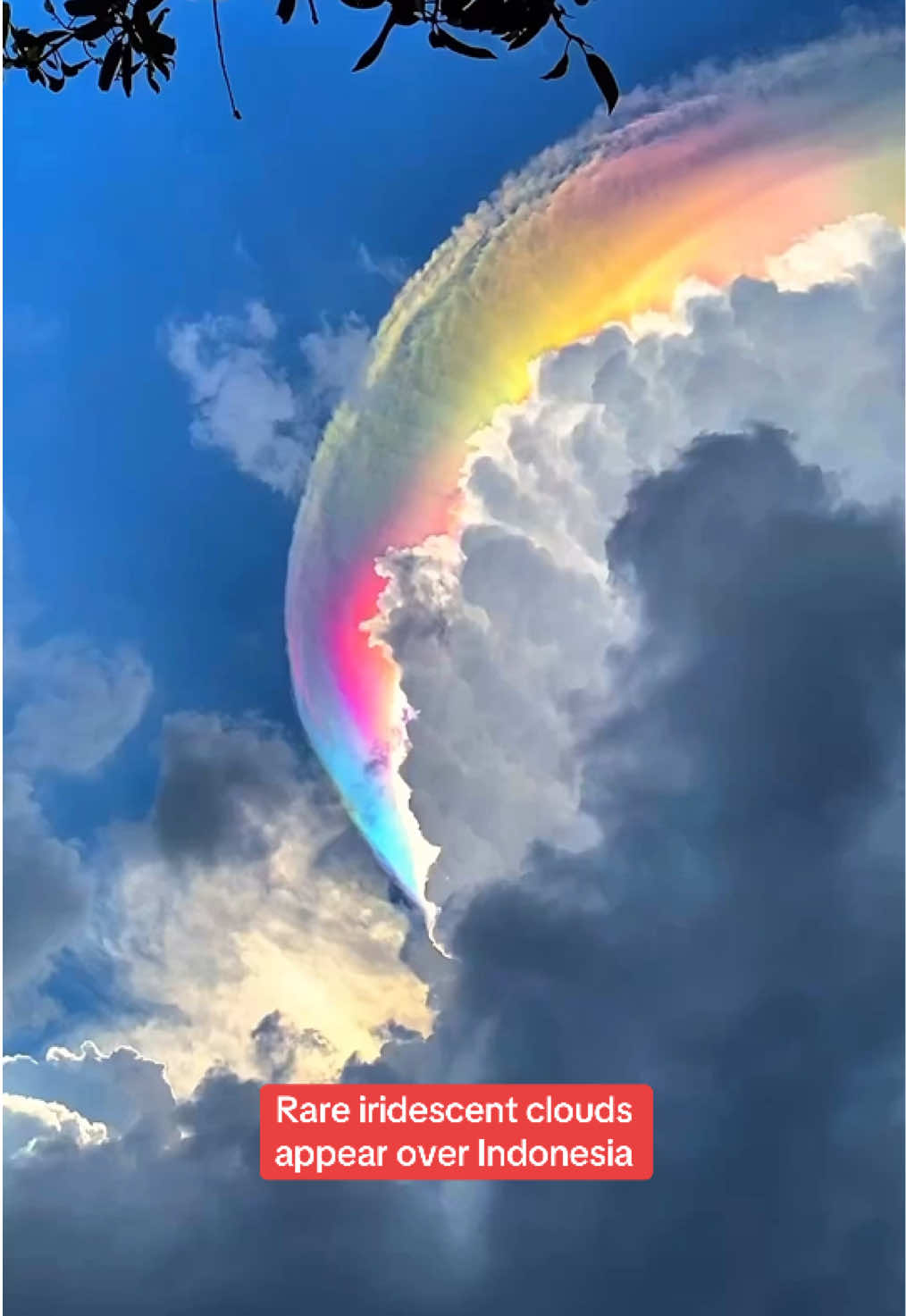 @News.com.au