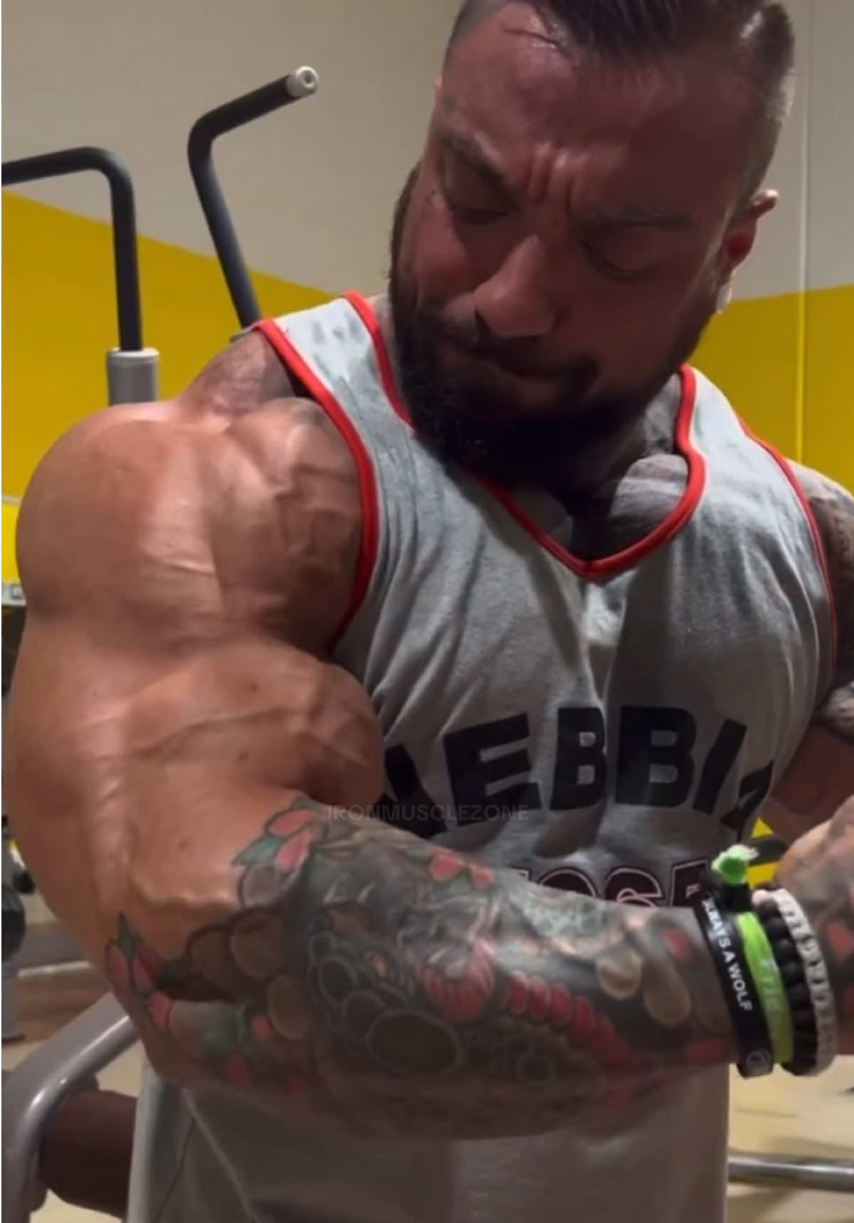 @ironmusclezone