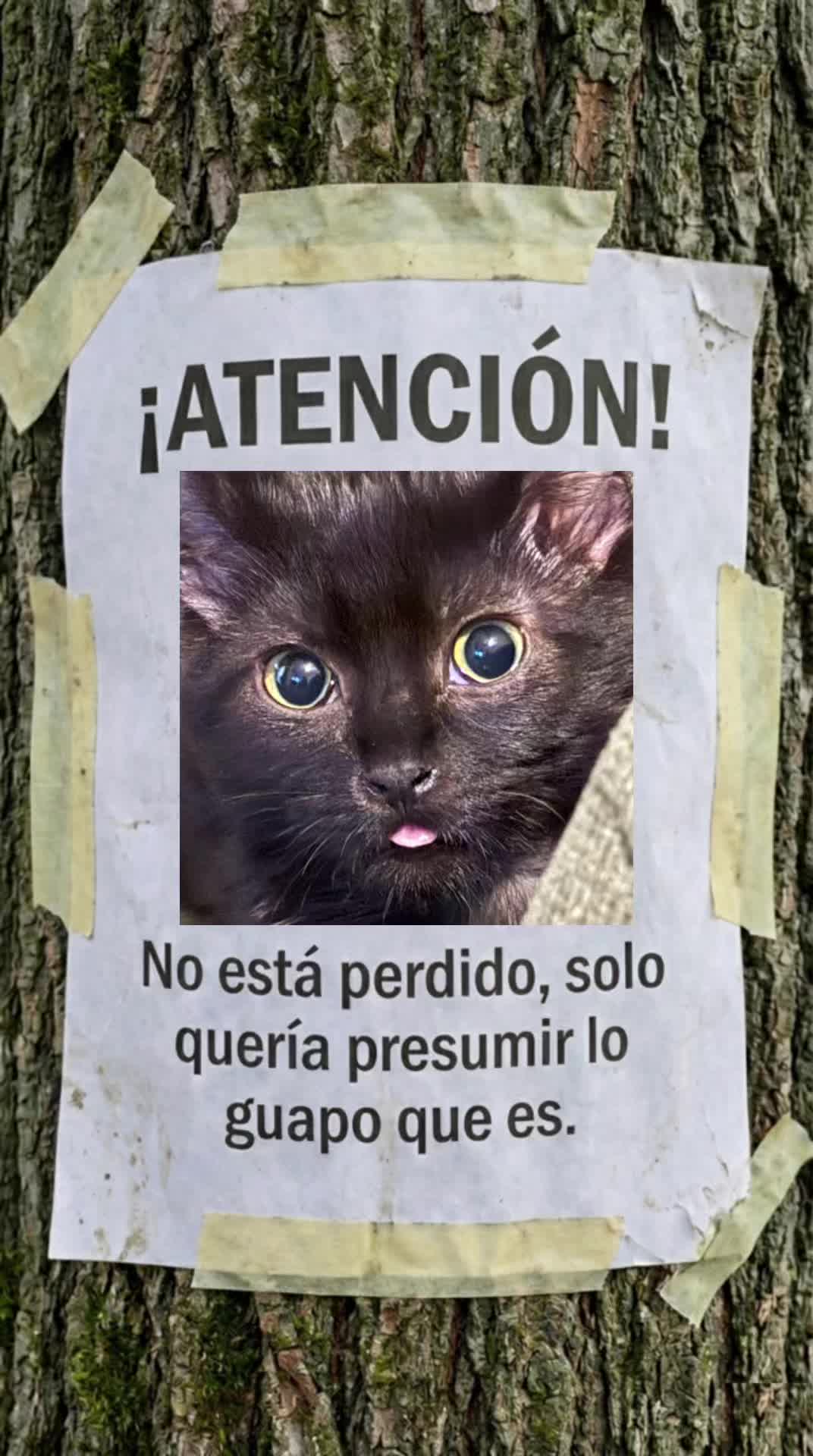 @Xioma