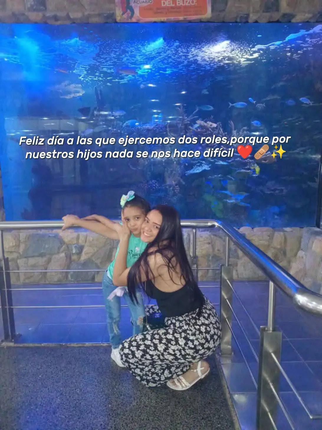 @Ada 🎀