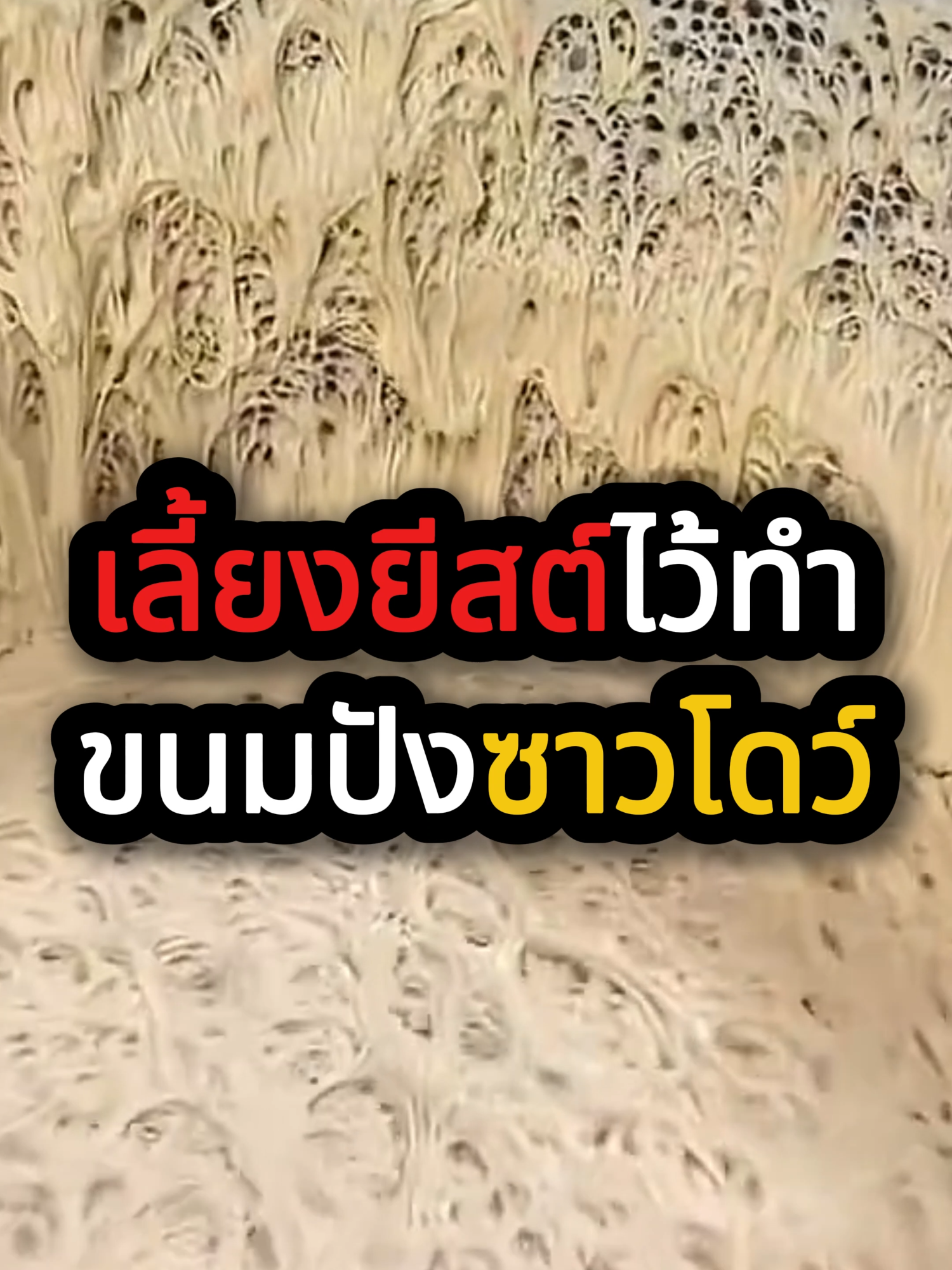 @QuickTech