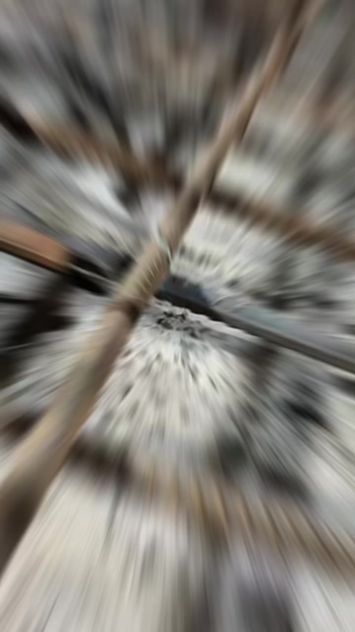 @𝓐𝓵𝓲 𝓒𝓱𝓪𝓻𝓪
