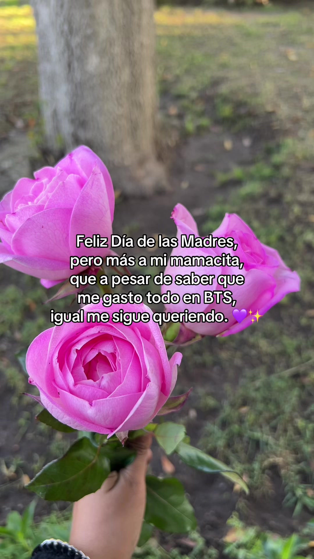 @Lulina ♡