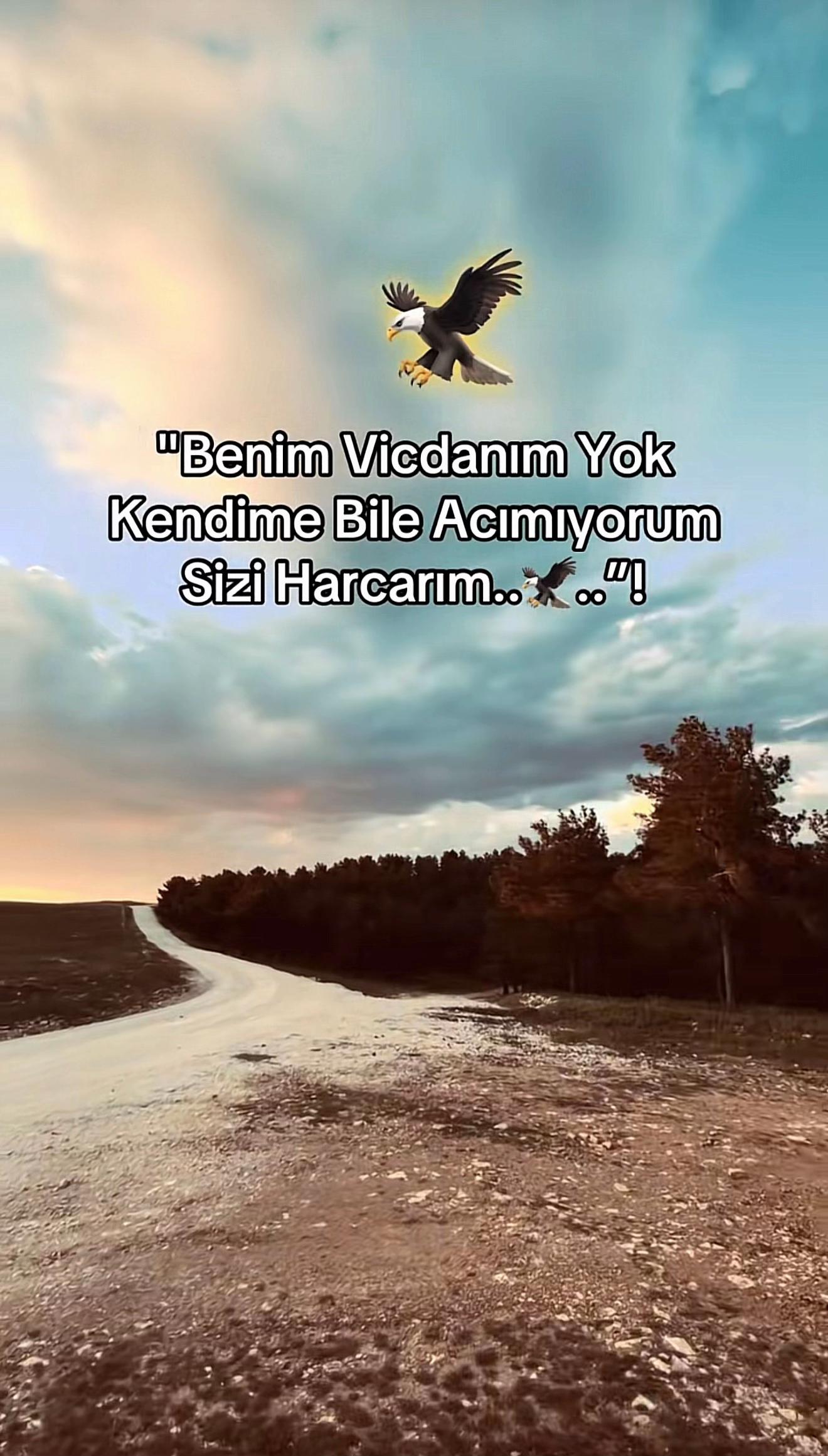 @𝐻𝒶𝓈𝒶𝓃 𝓎ı𝓁𝓂𝒶𝓏