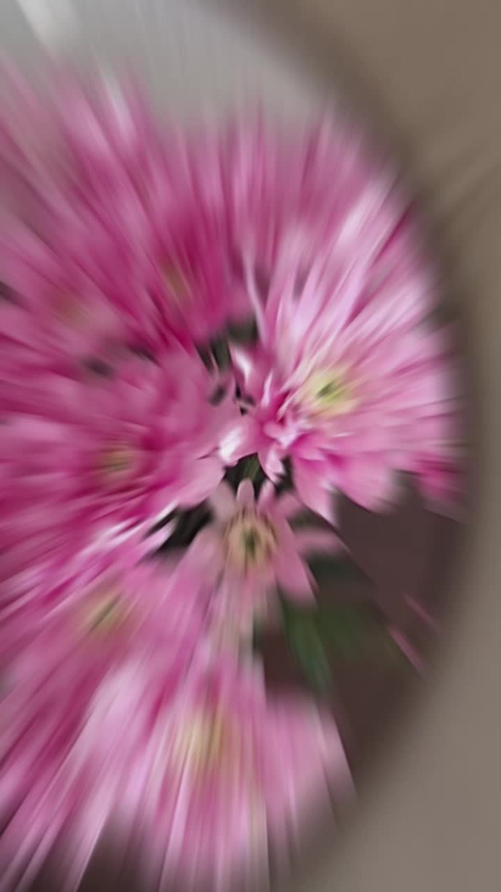 @Rosita Kalloe576
