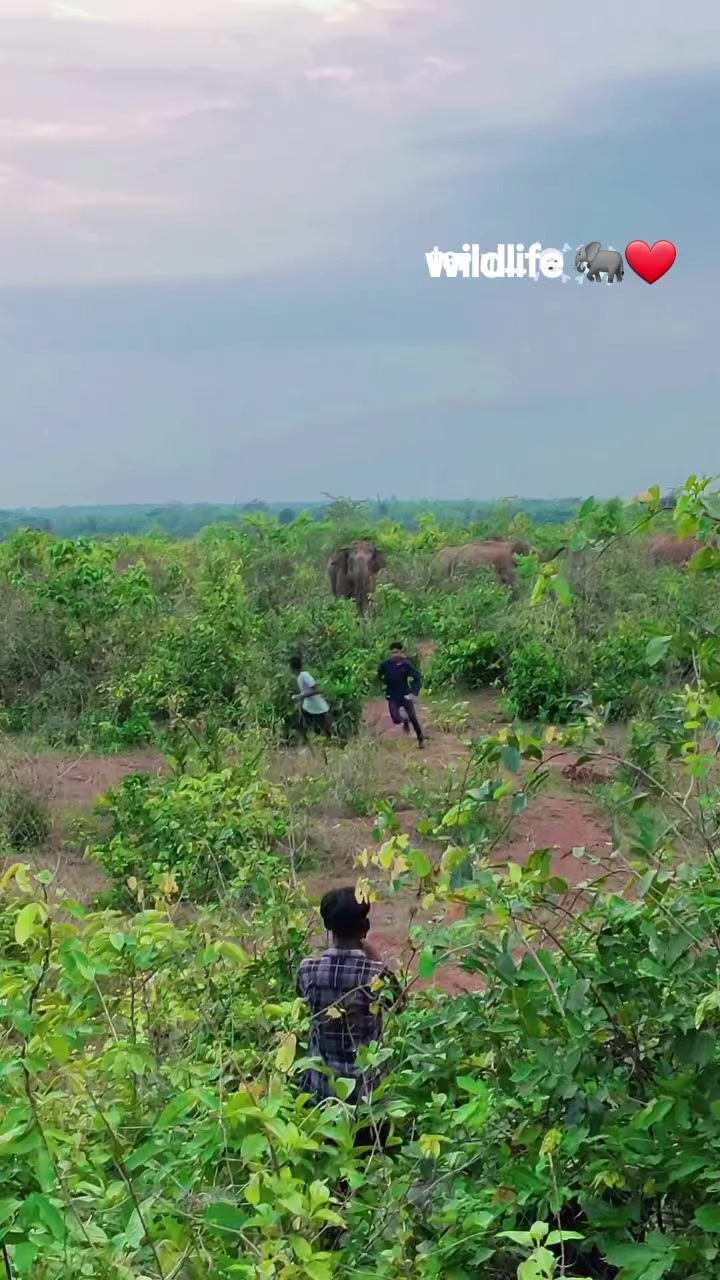 @Rajkumar
