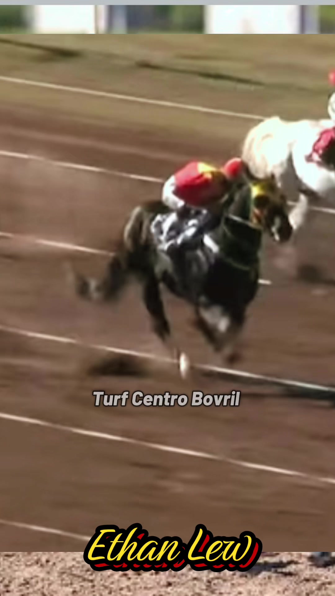@TURF CENTRO BOVRIL