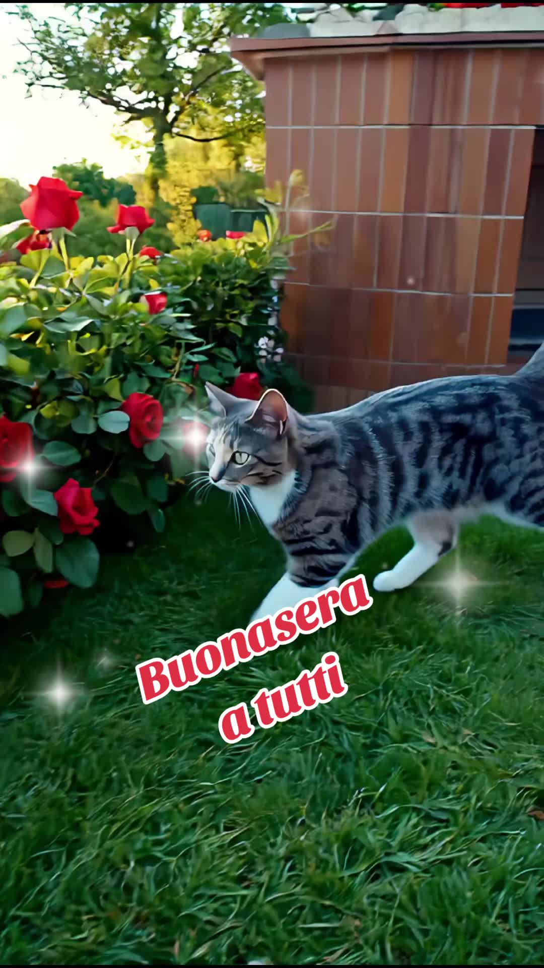 @💫⚘️Maria⚘️💫