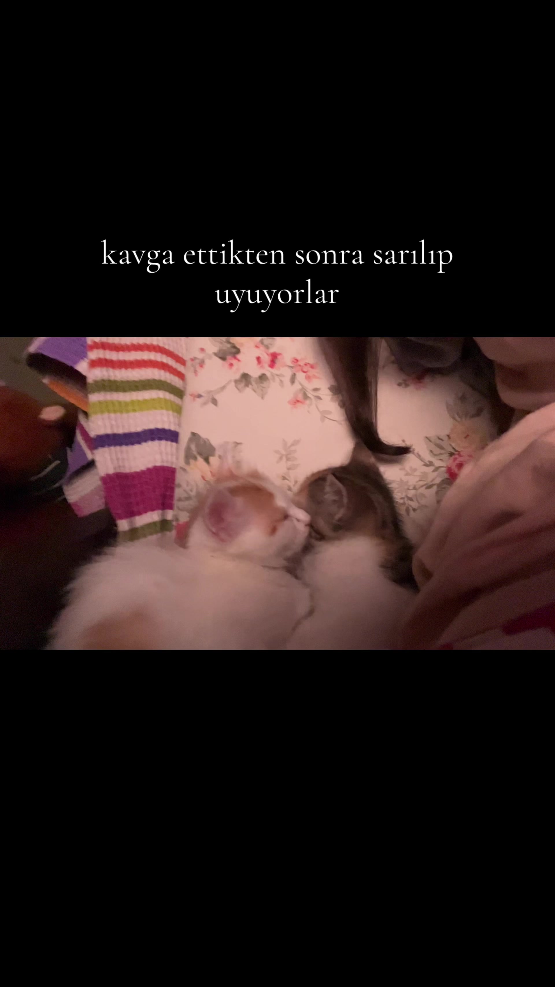 @bibiddudud