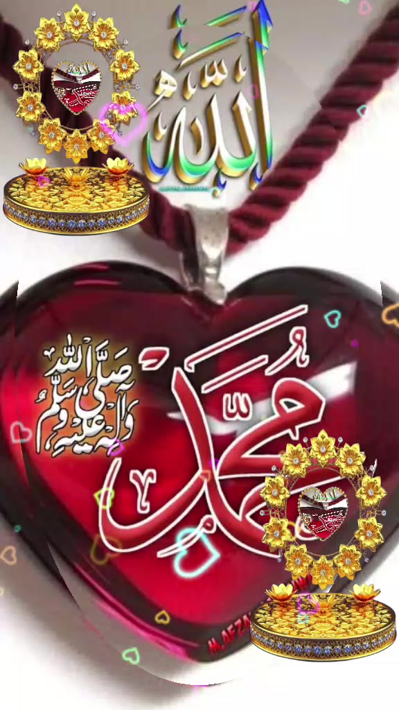 @Hina Malik