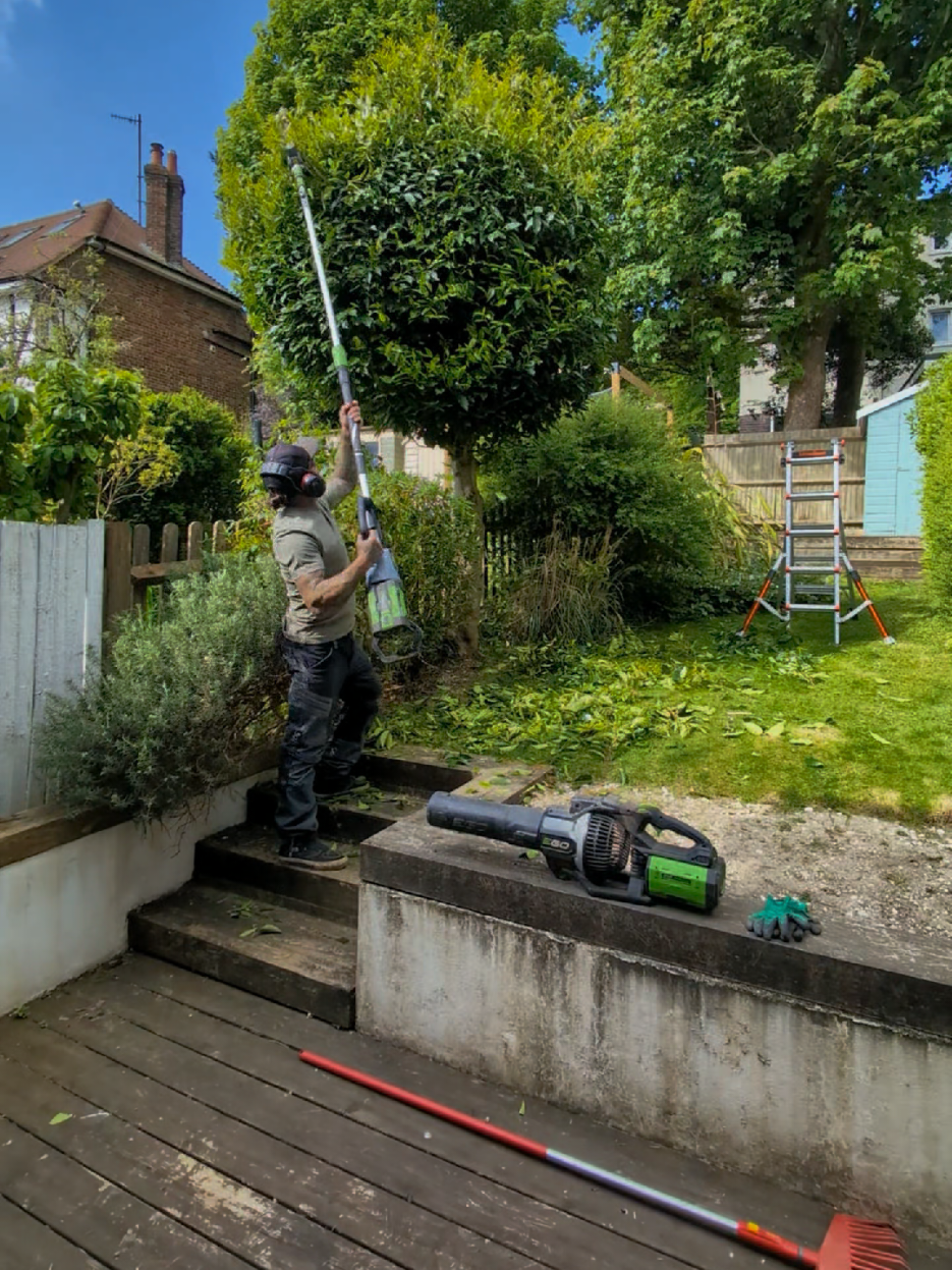 @Gary Hall Garden Services