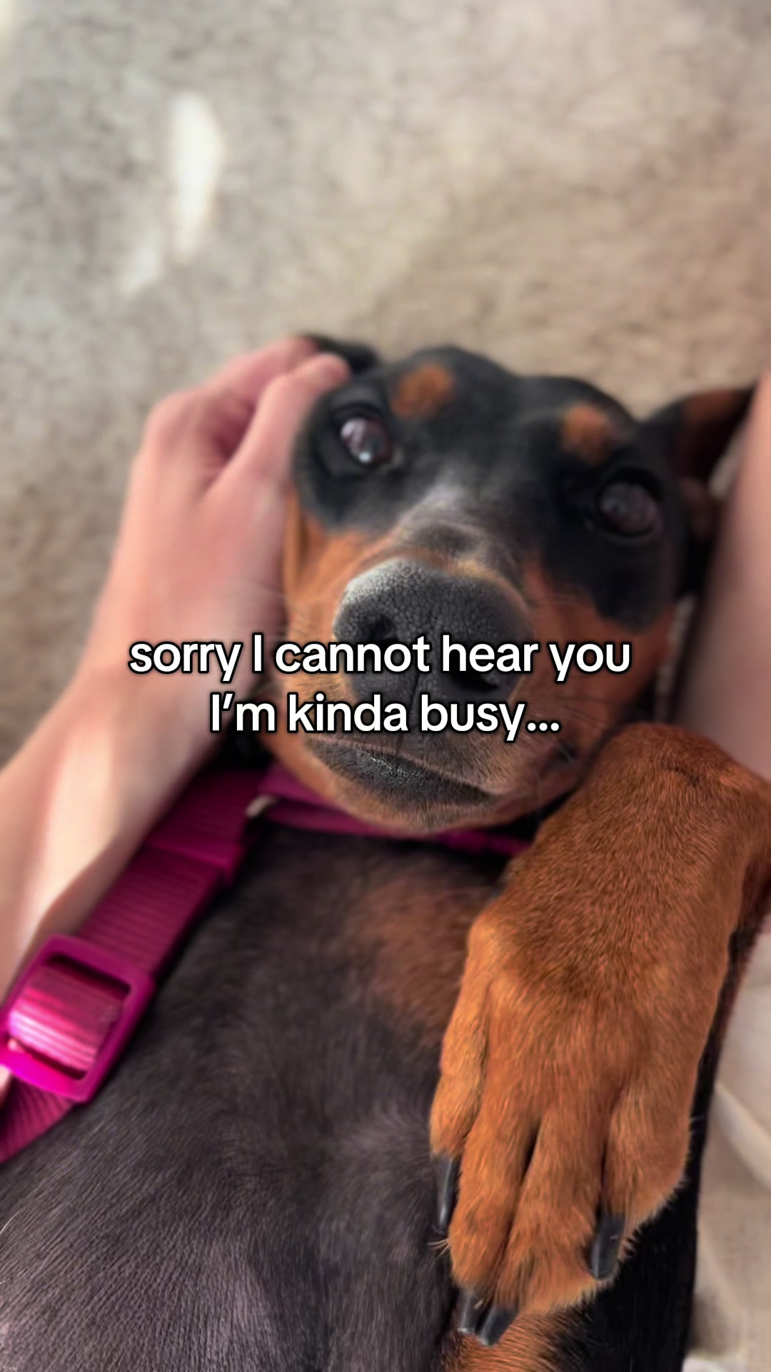 @AlvaTheHotDog