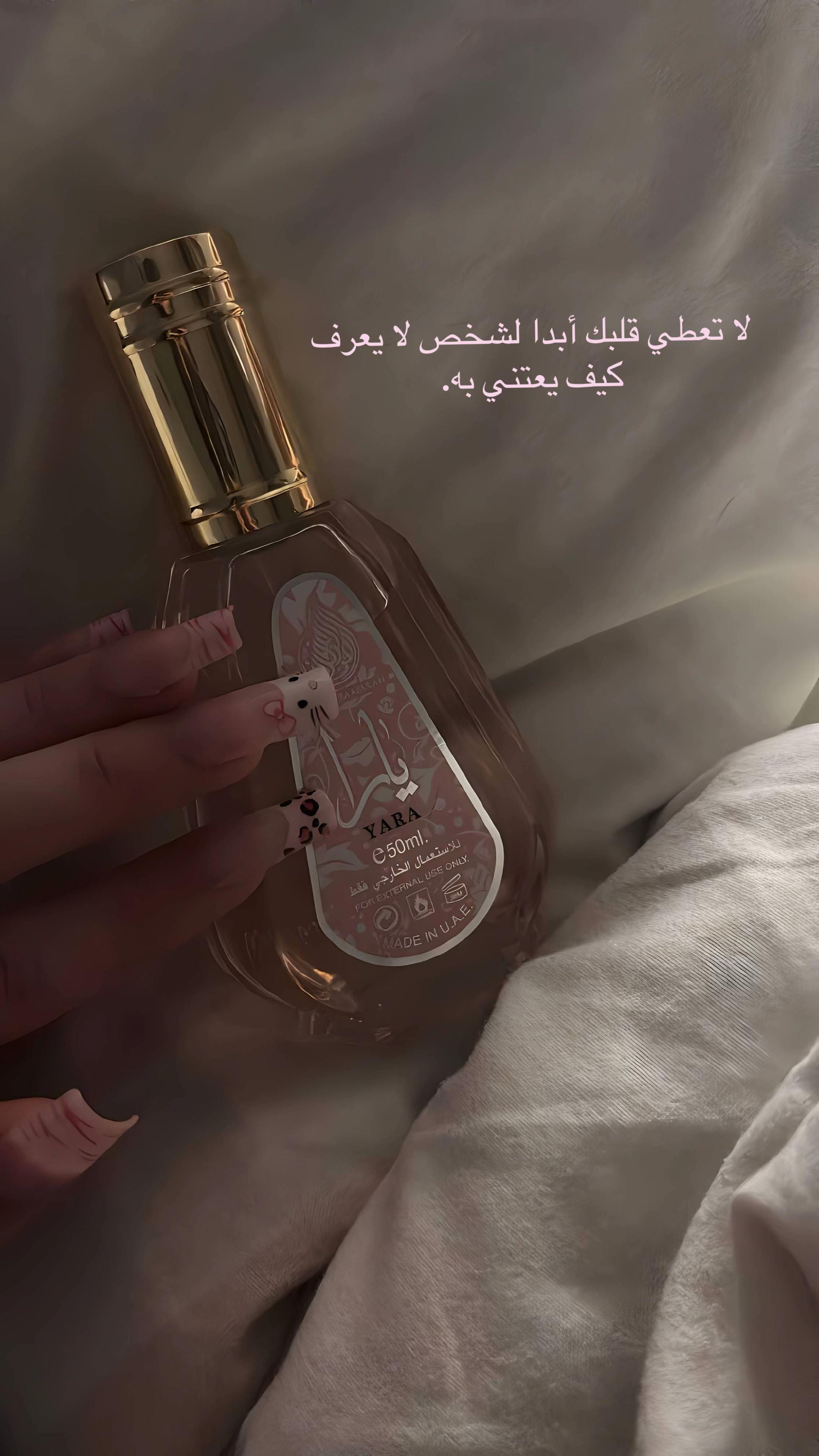 @𝐿𝐷𝑁𝟛.𝟘𝑎