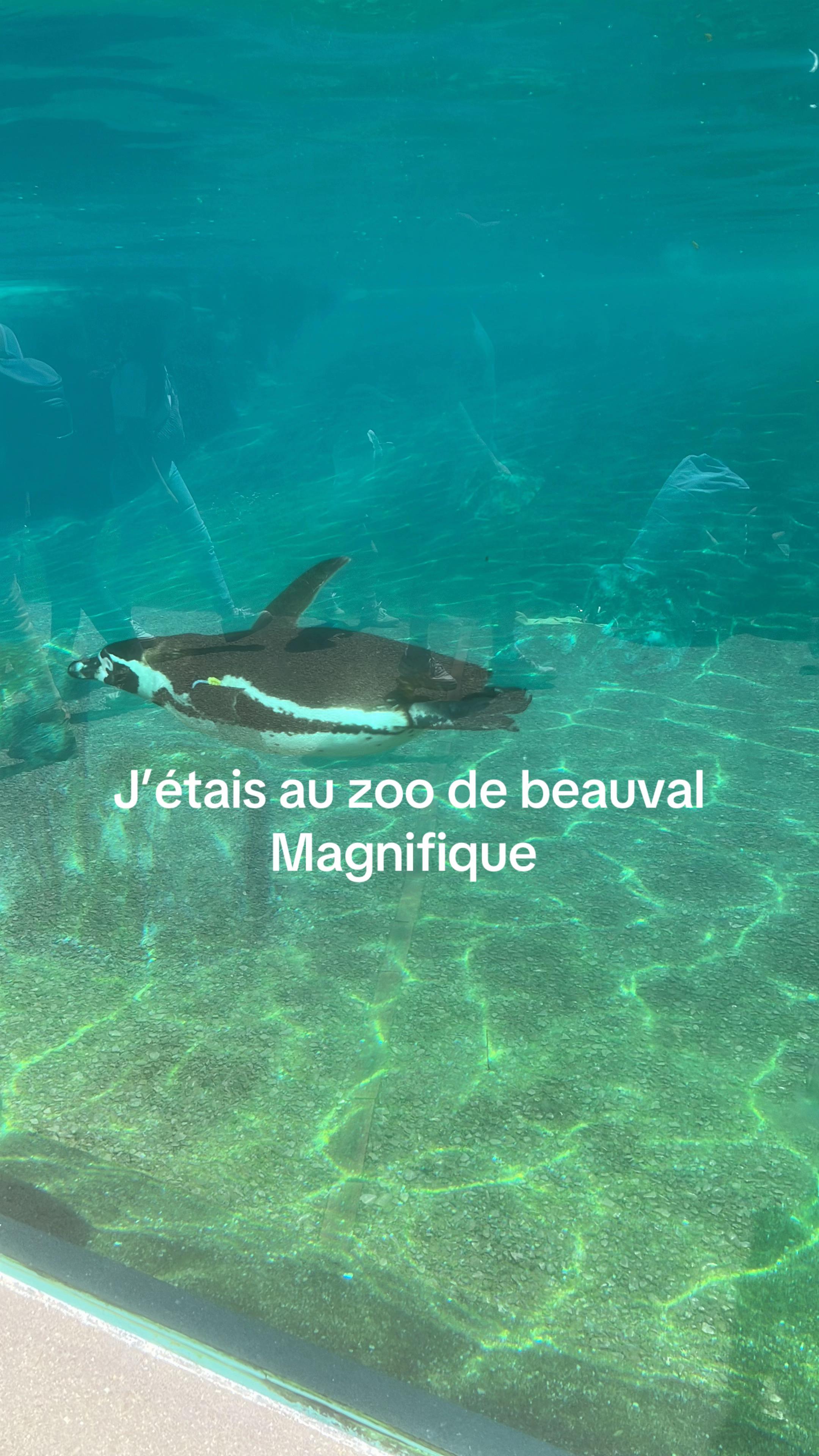 @Angelina