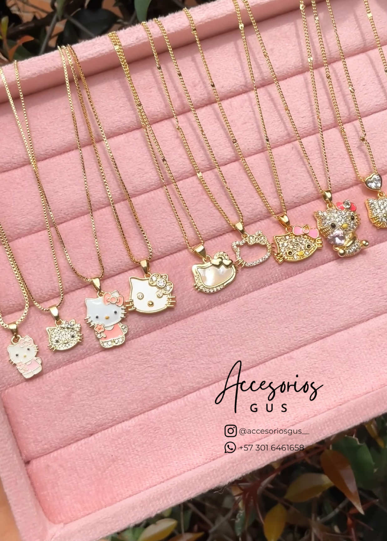@Accesorios GUS