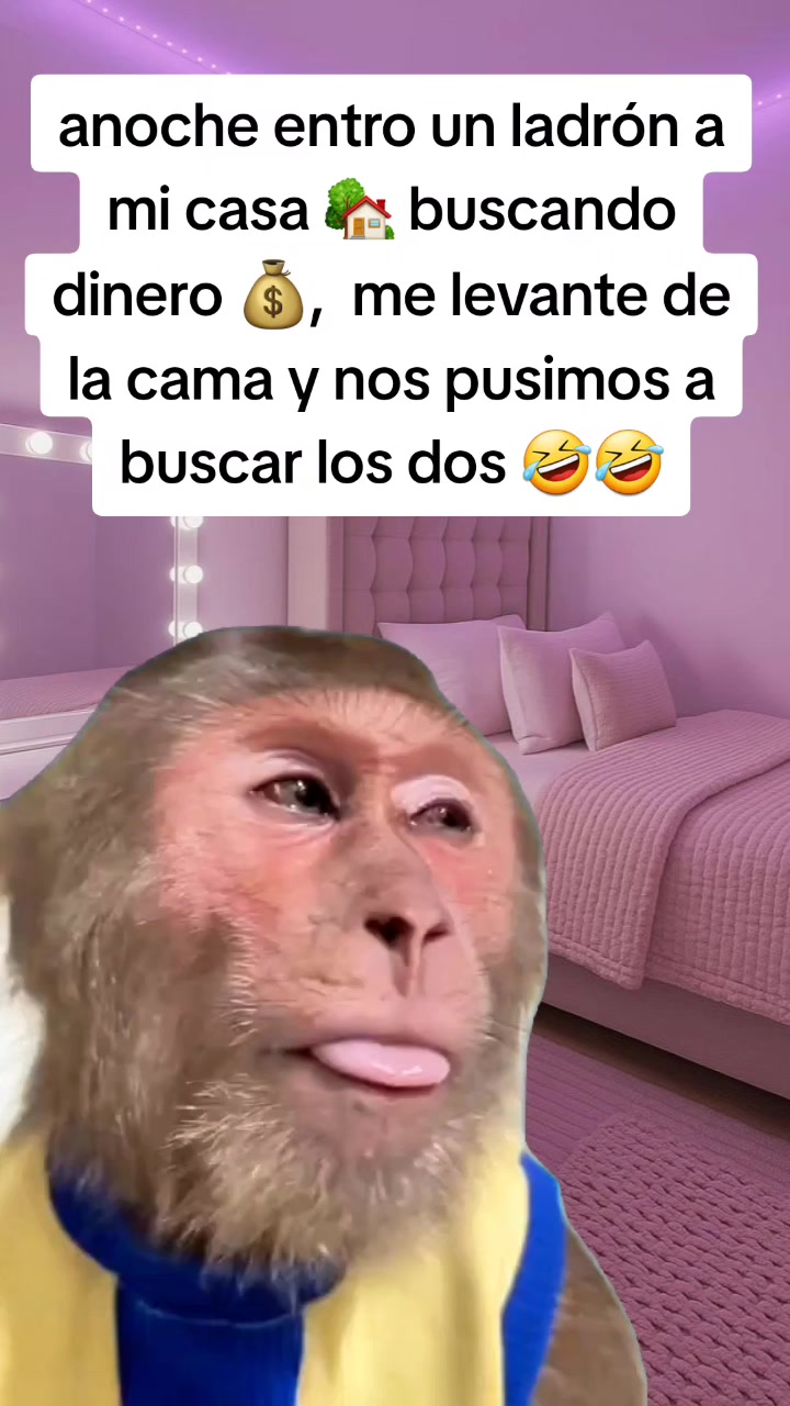 @Jasbleidy humor 🤣