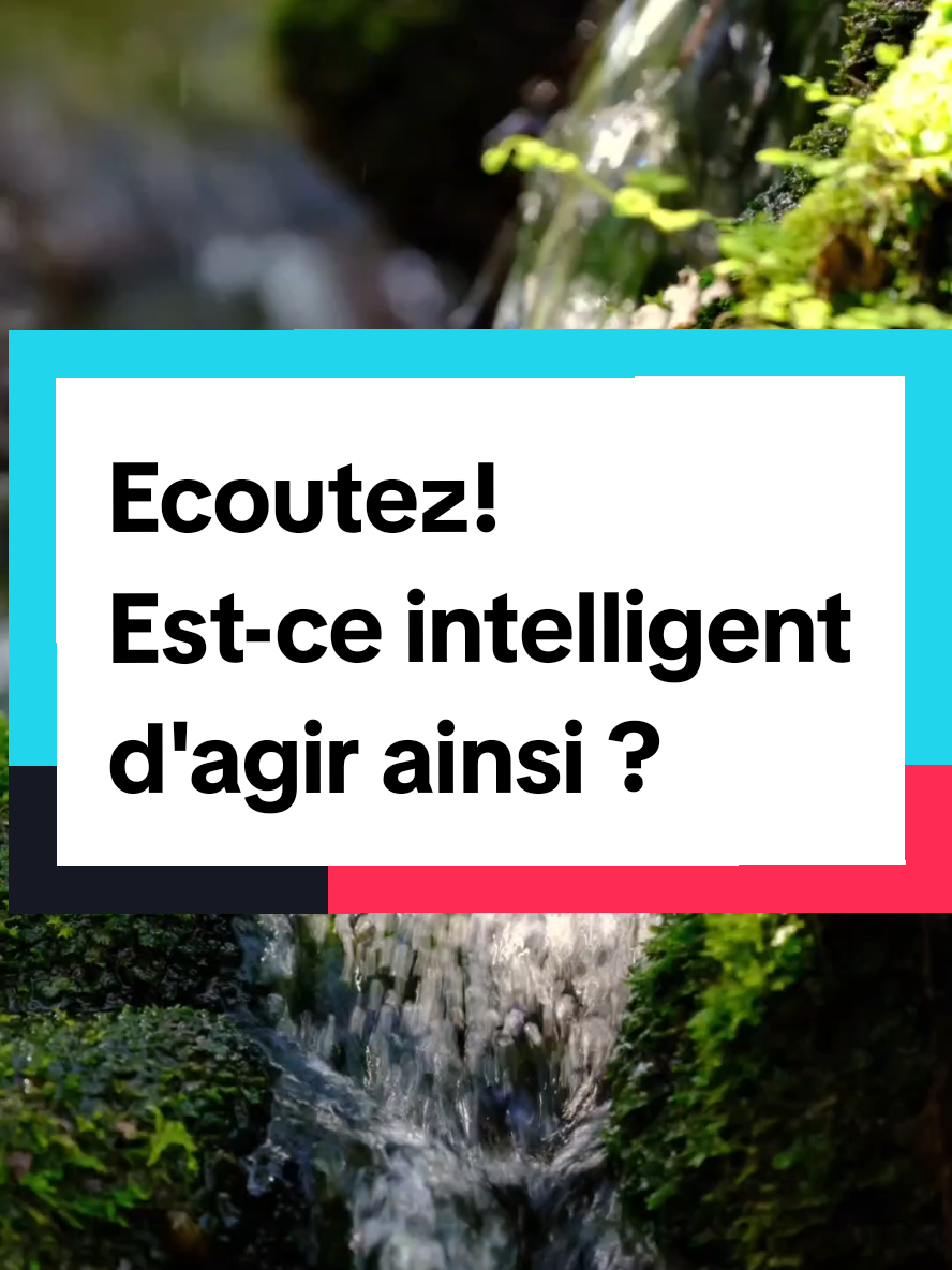 @NAFINDIREN