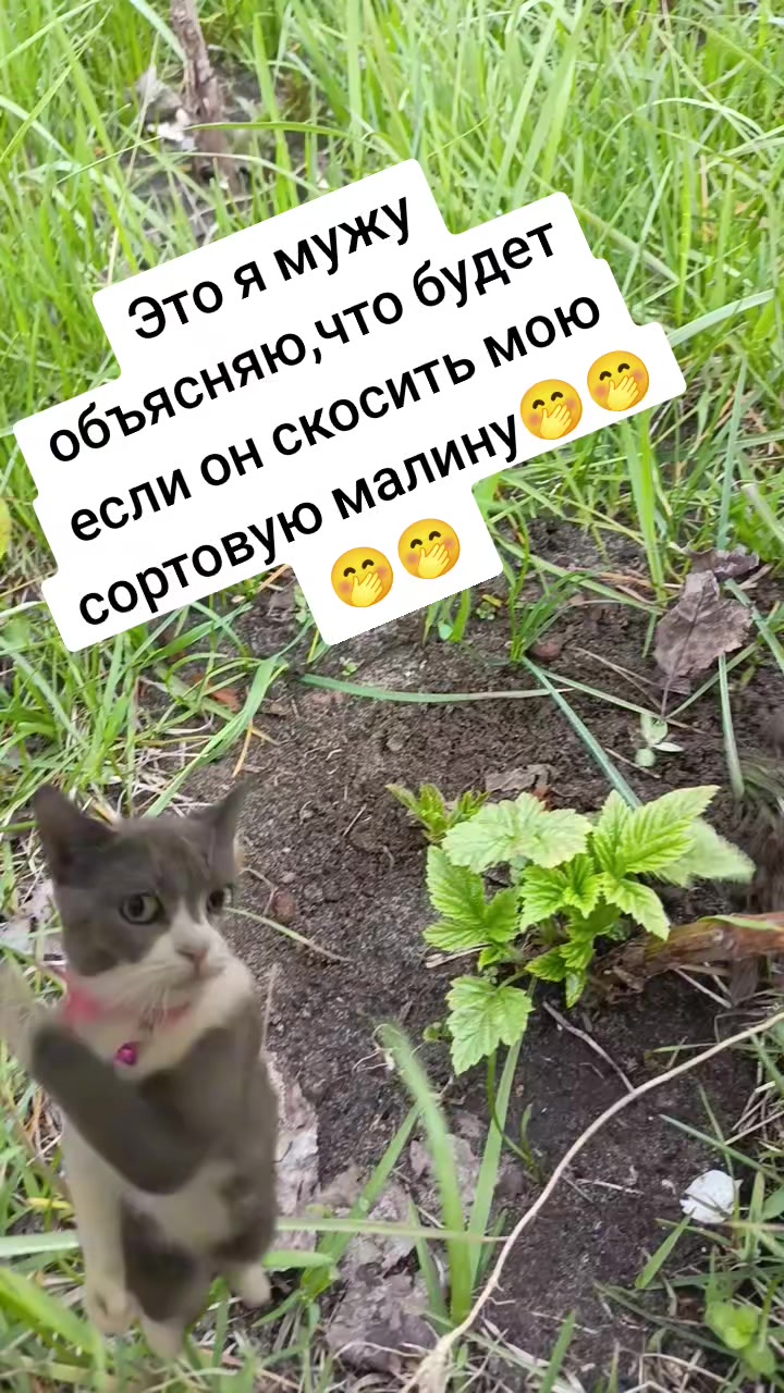 @Оленька