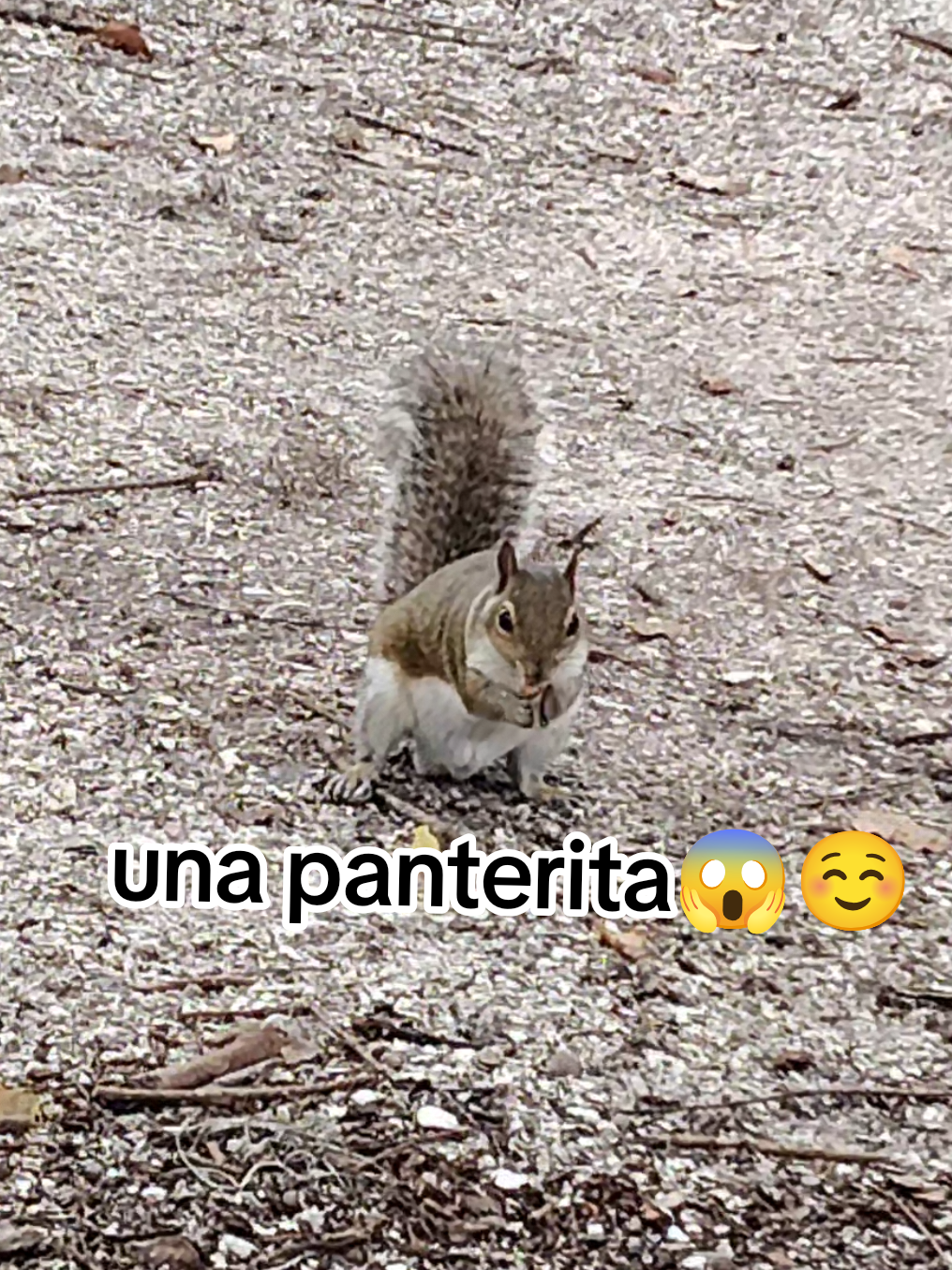 @JerBer