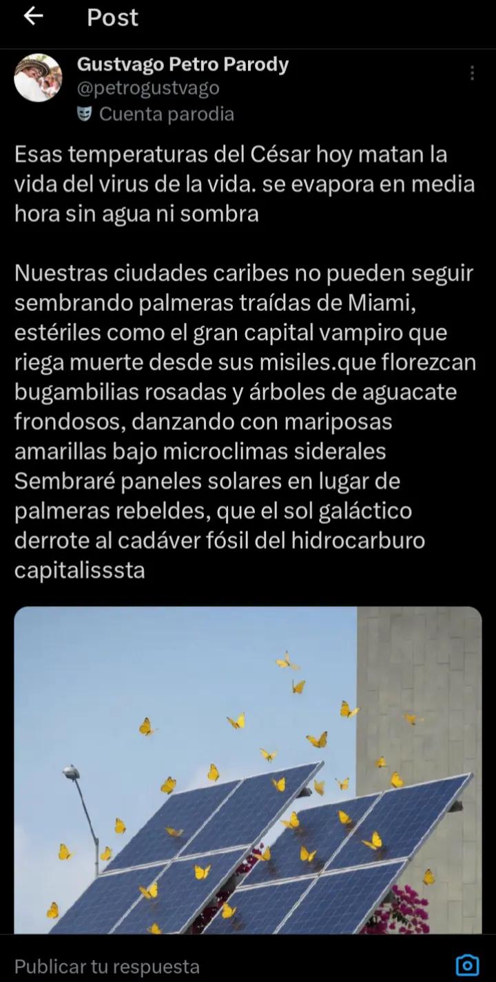 @Noticias zorrito