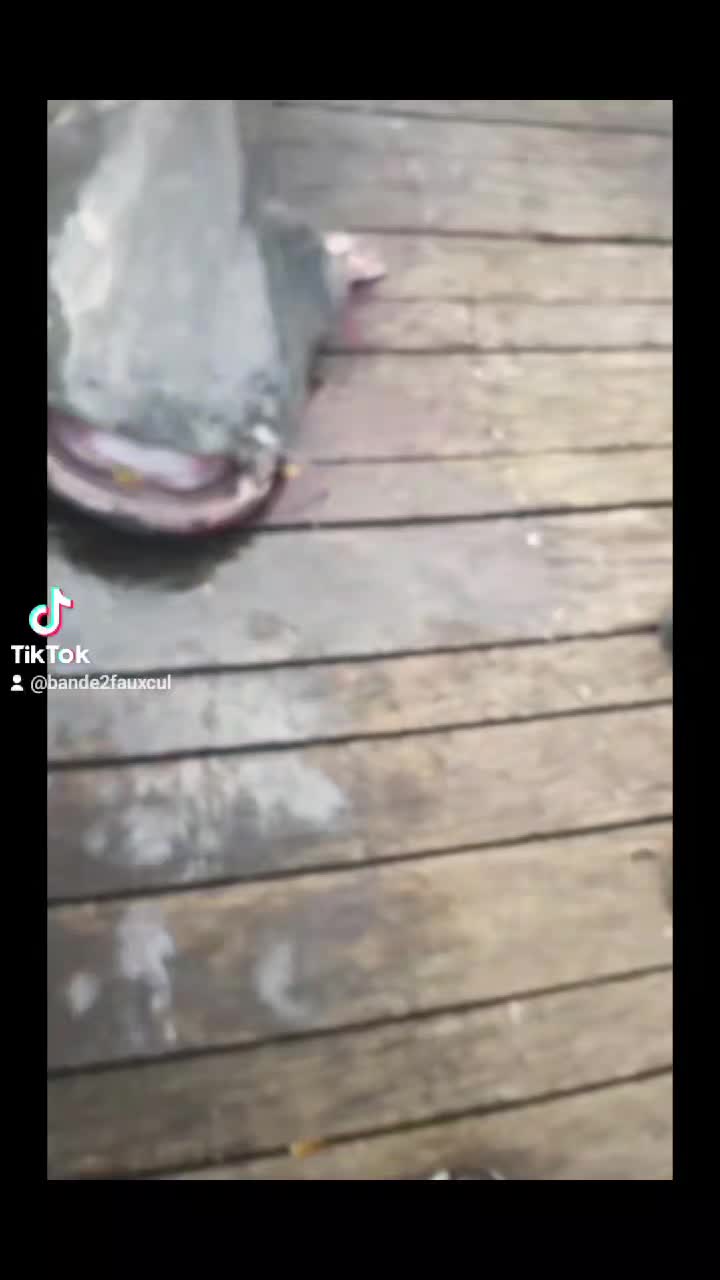 @faitdesbisousfishing92