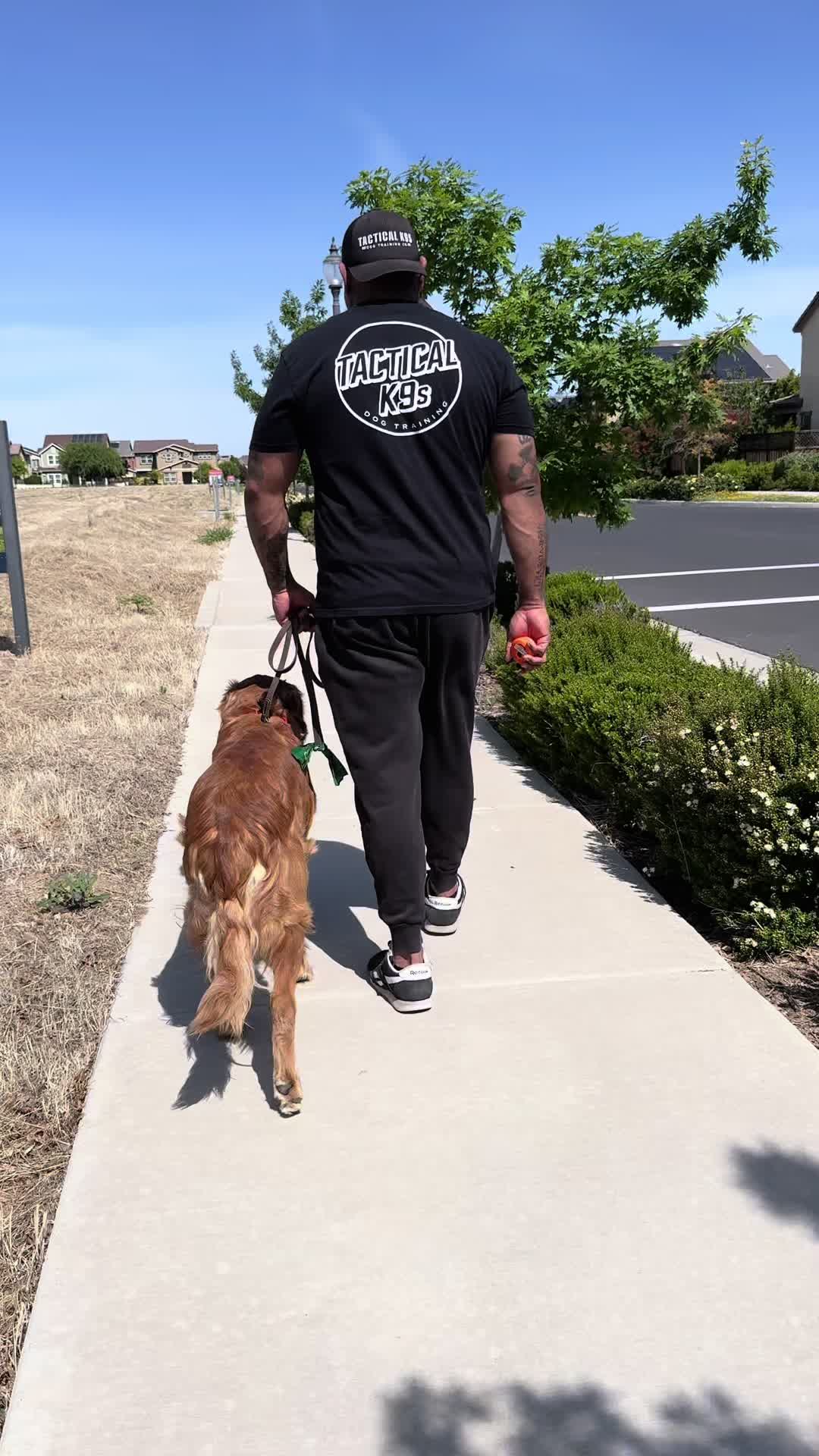 @Tactical K9s Dog Training