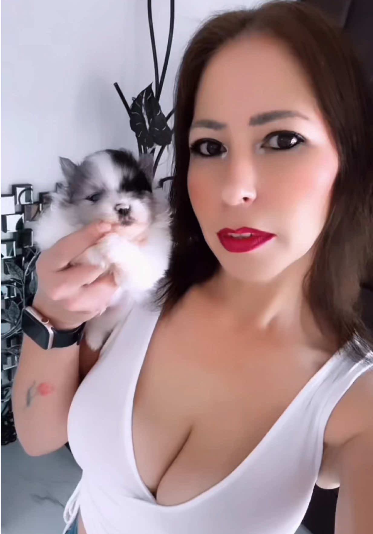 @🌷Lizbeth Velasco🌷