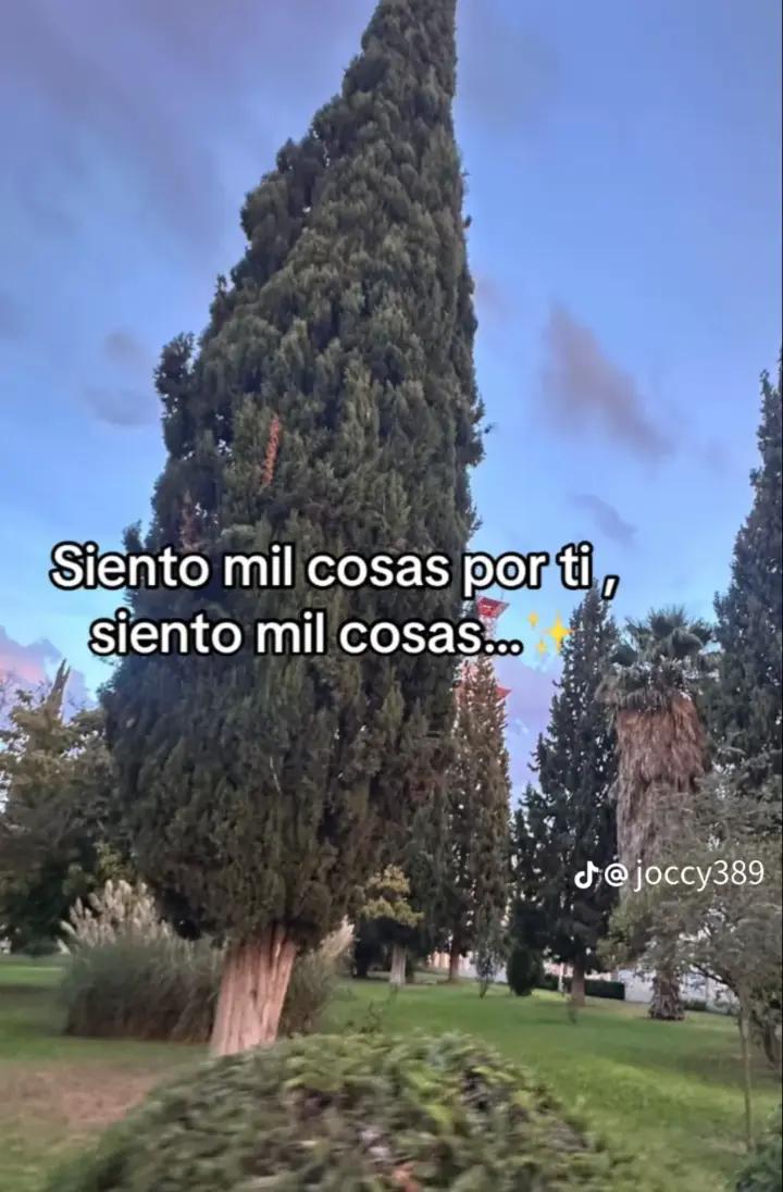 @WENCLAIR😍😏🥰