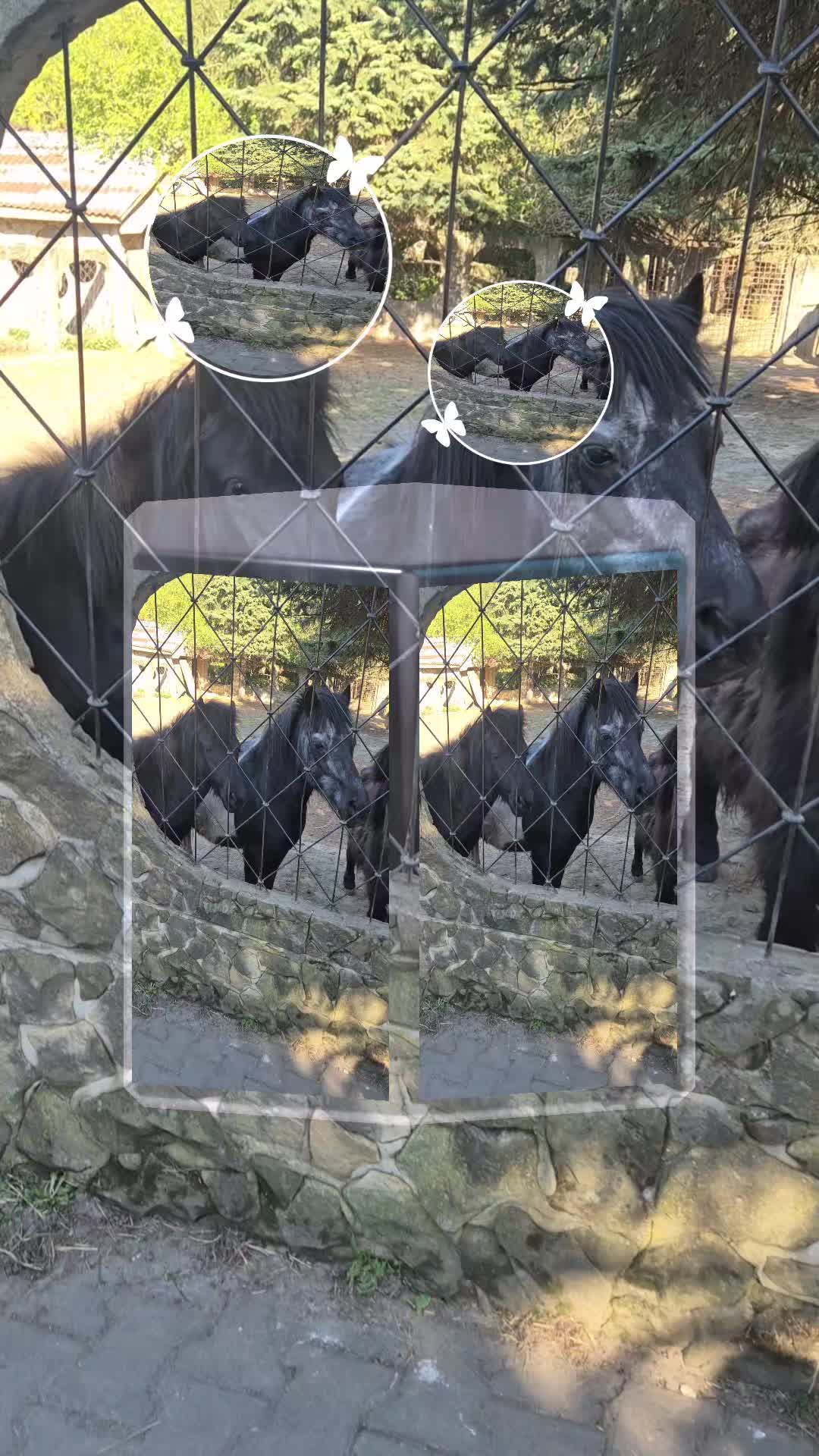 @꧁𝕬𝕷𝕲𝕴𝕯𝕬꧁